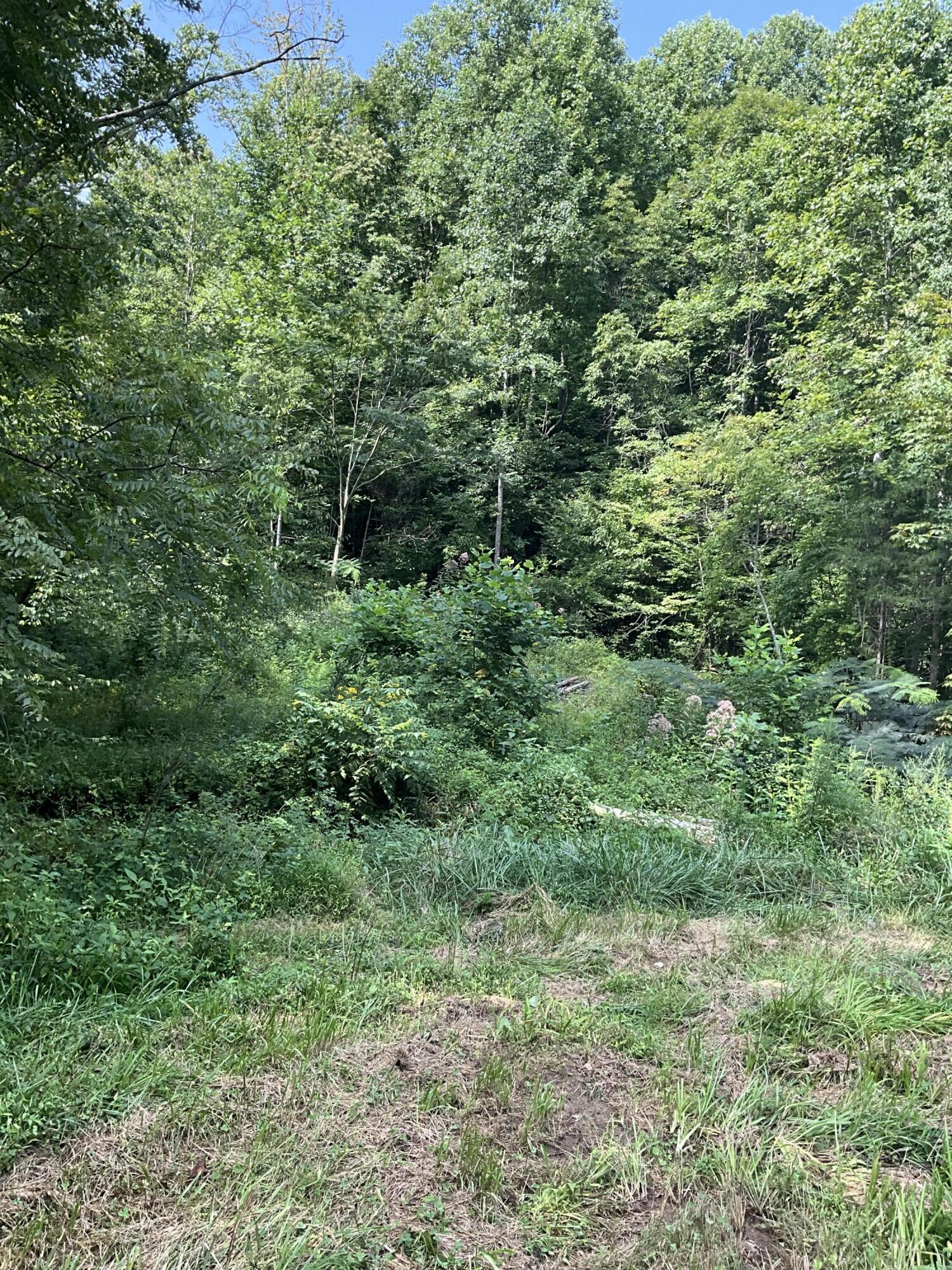 4151 Crane Creek Road Property Photo 9