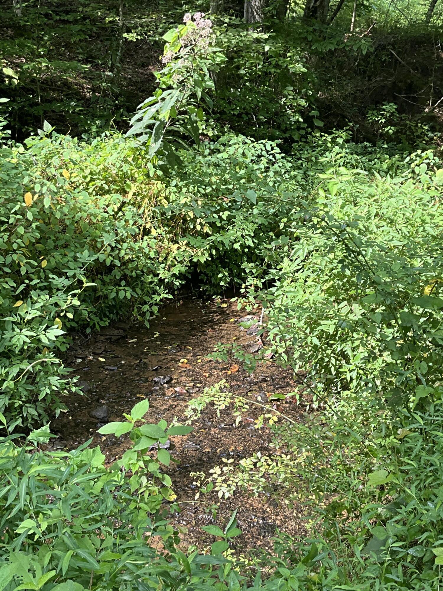 4151 Crane Creek Road Property Photo 10