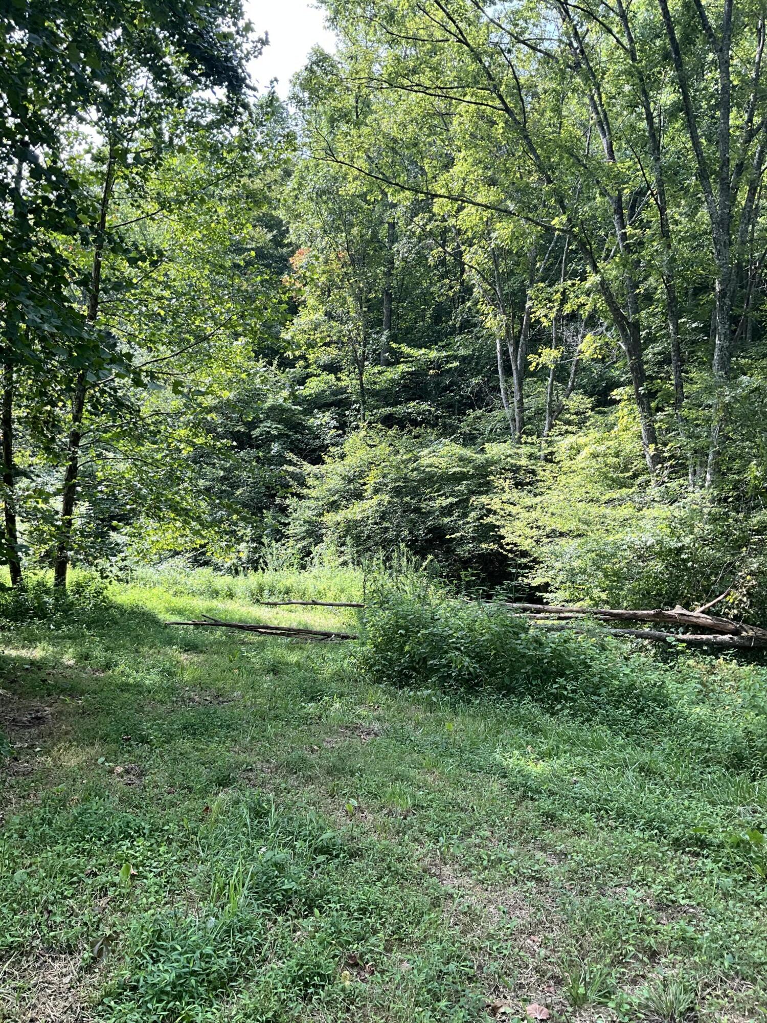 4151 Crane Creek Road Property Photo 12