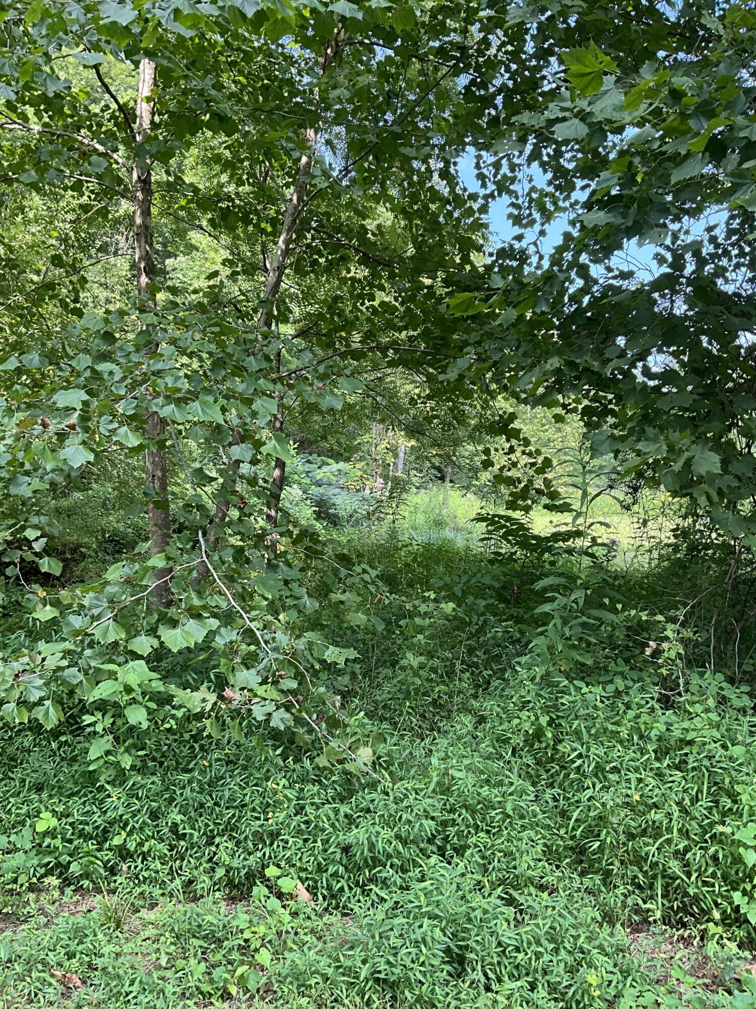 4151 Crane Creek Road Property Photo 13