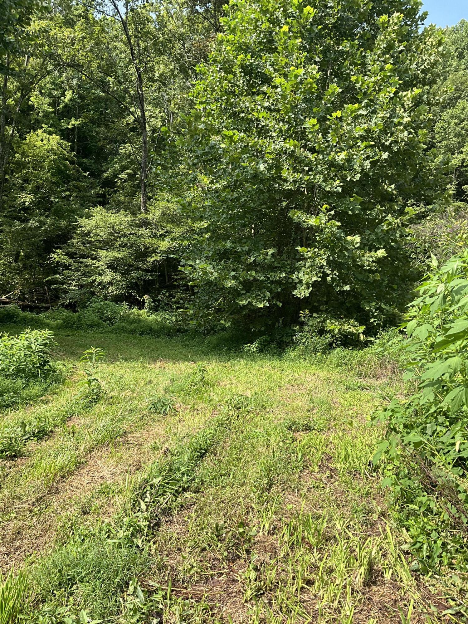 4151 Crane Creek Road Property Photo 15