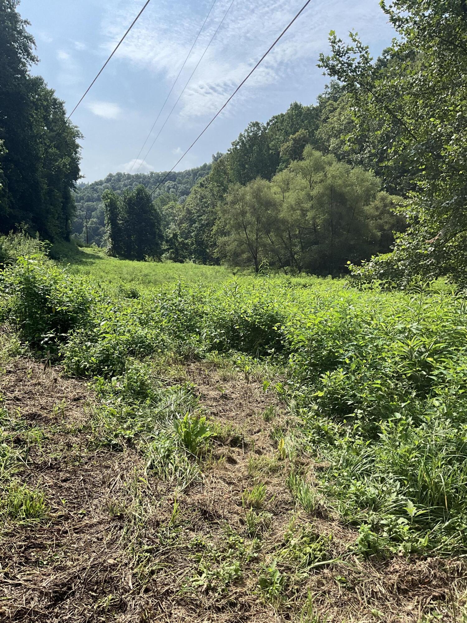 4151 Crane Creek Road Property Photo 16