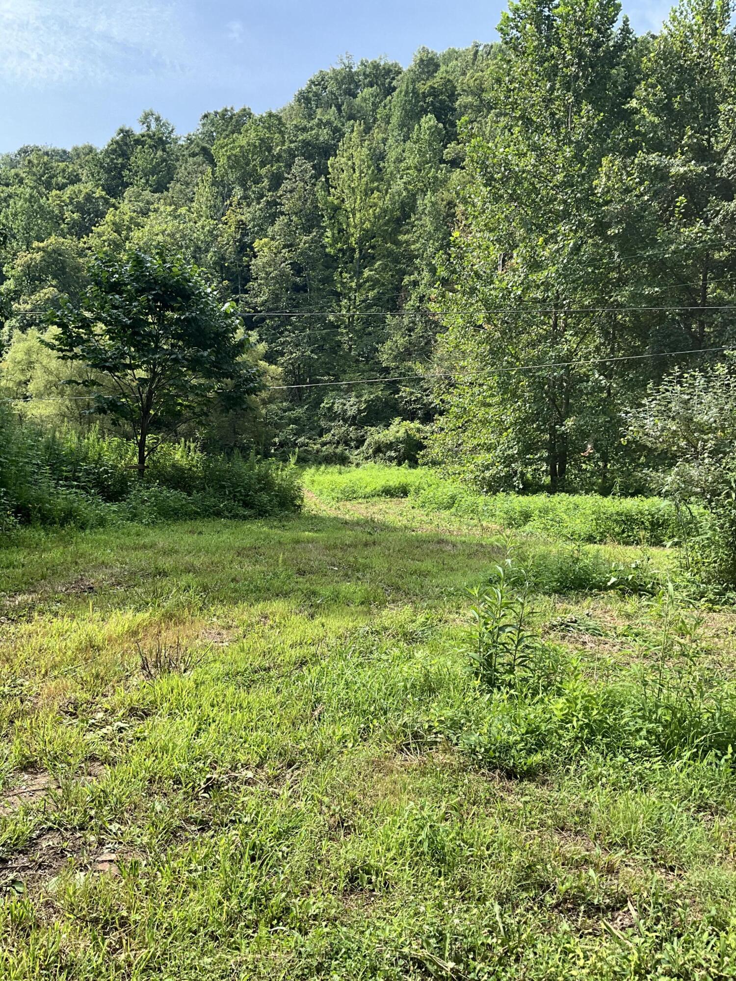 4151 Crane Creek Road Property Photo 17