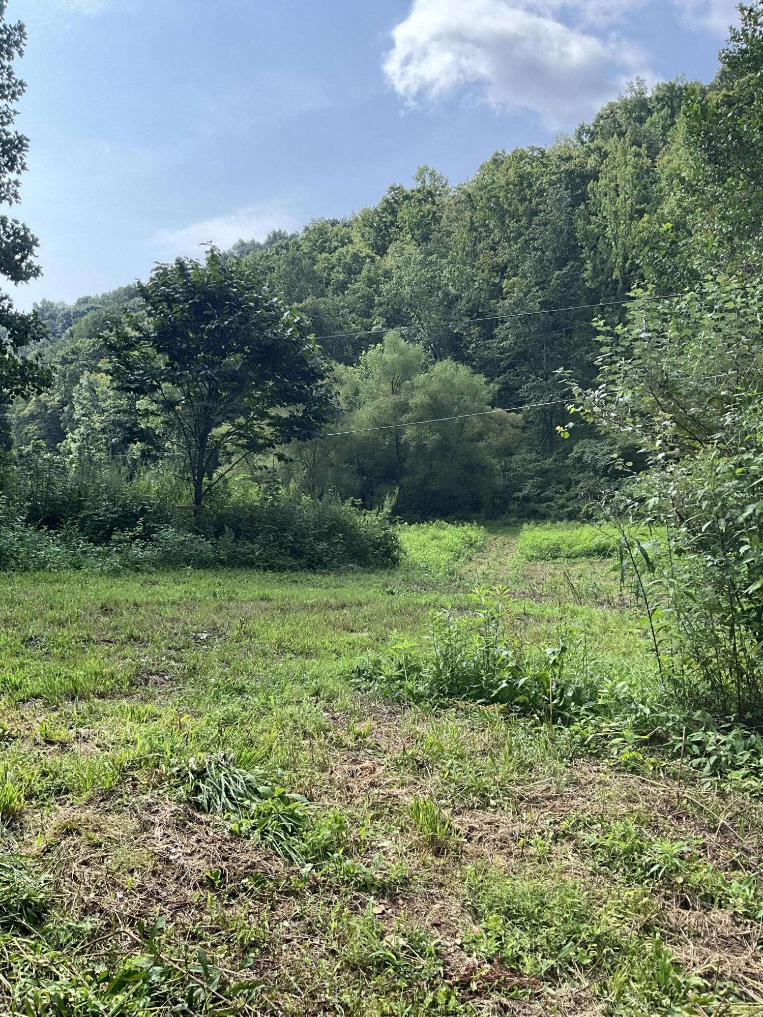 4151 Crane Creek Road Property Photo 21