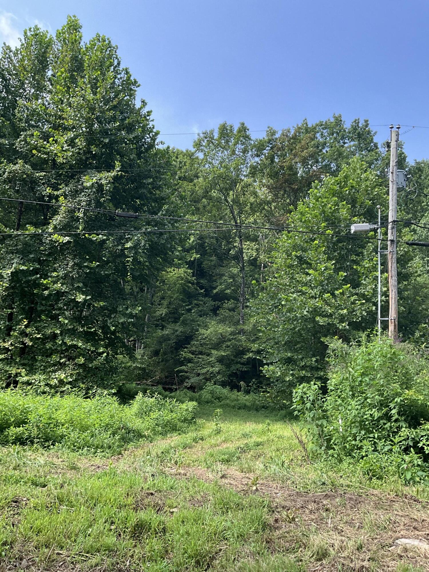 4151 Crane Creek Road Property Photo 23