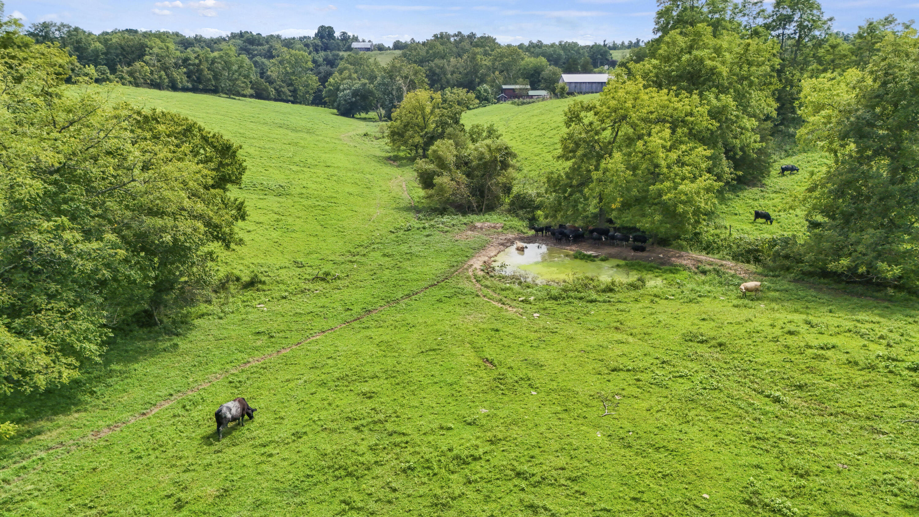3357 Rogers Mill Road Property Photo 29