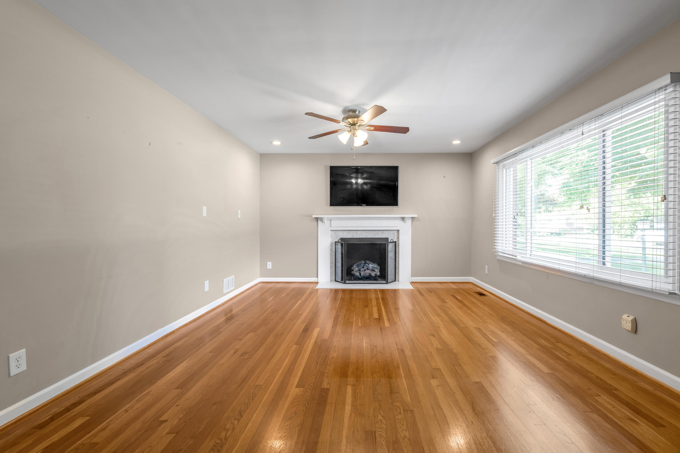 352 Albany Road Property Photo 8