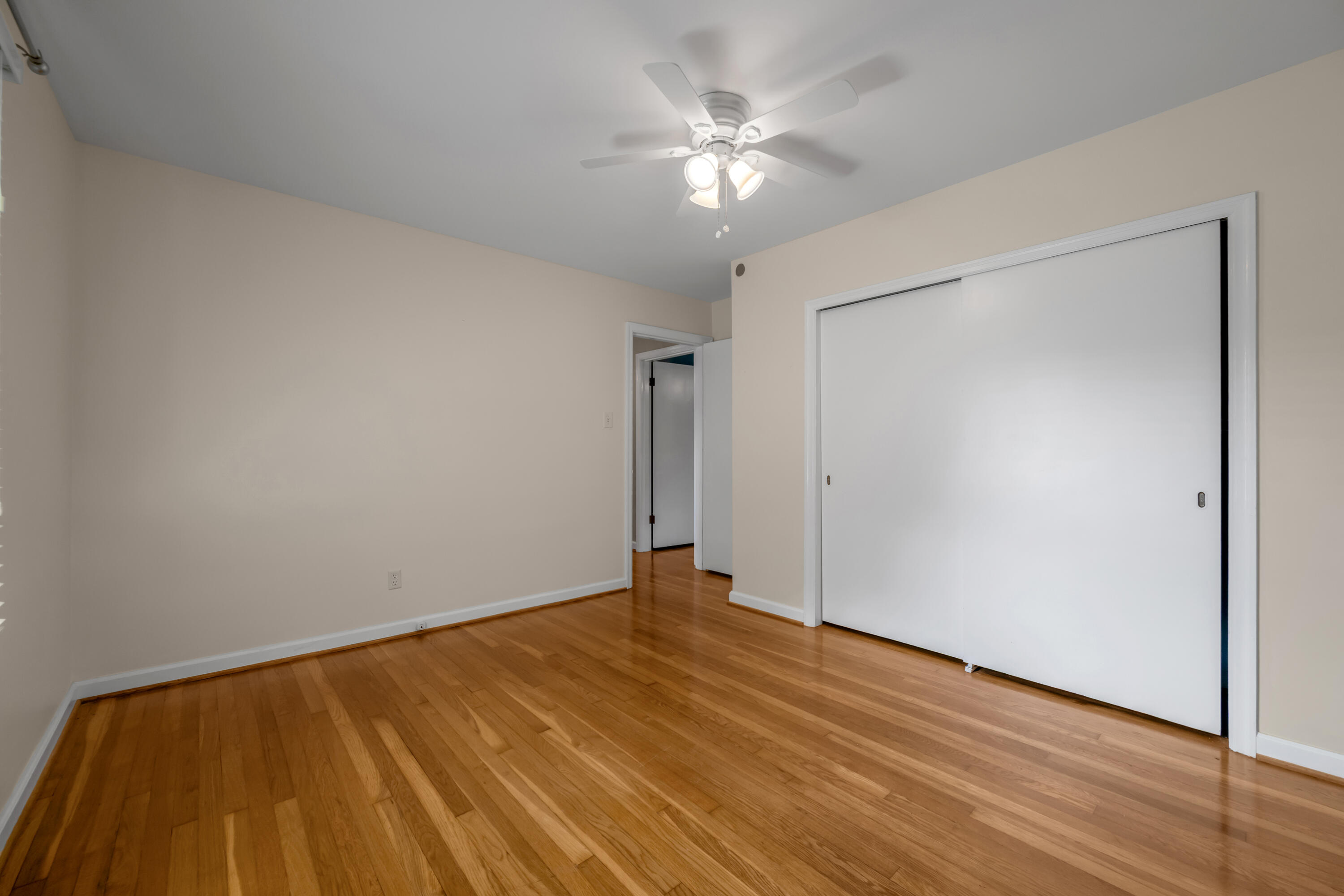 352 Albany Road Property Photo 40