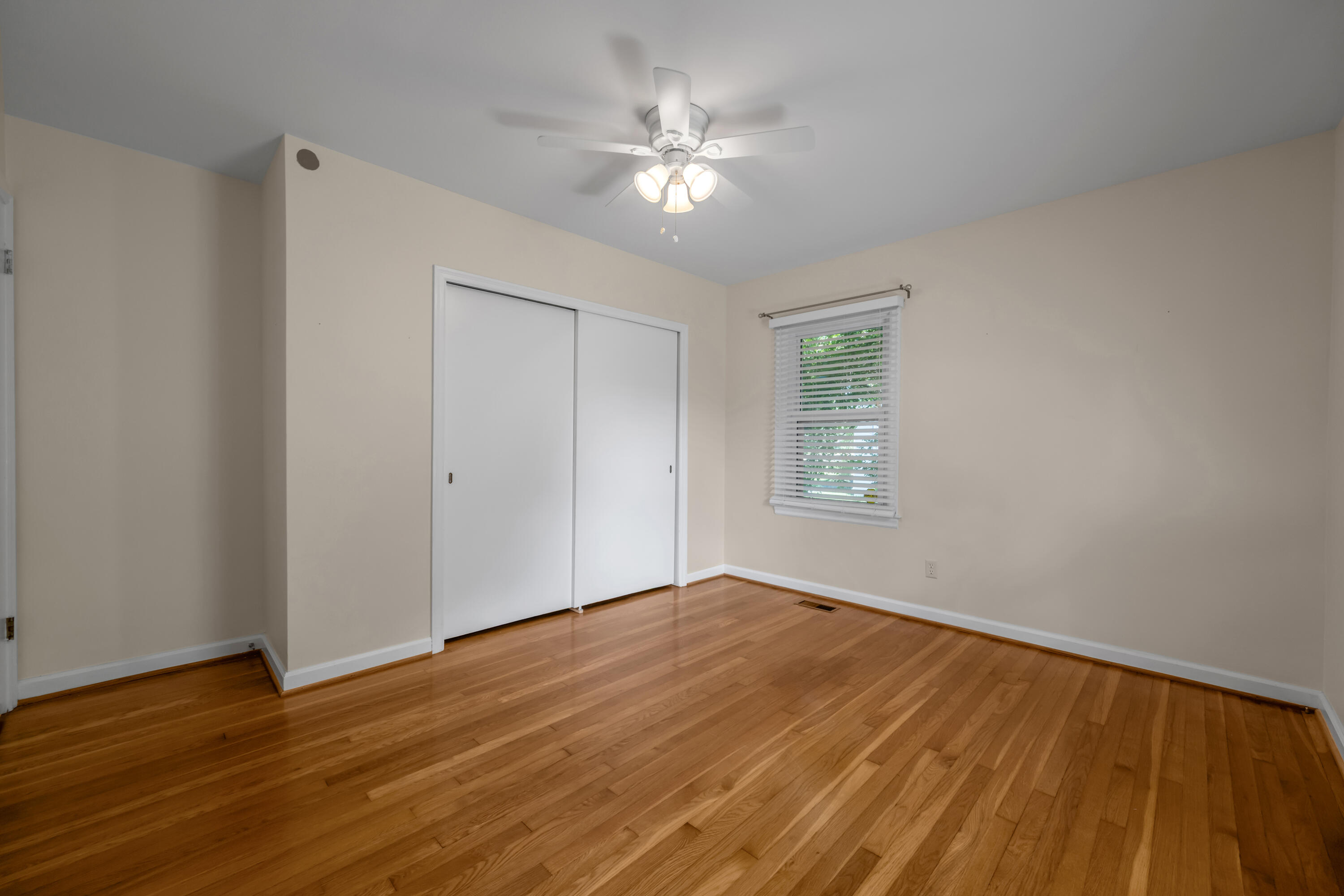 352 Albany Road Property Photo 41
