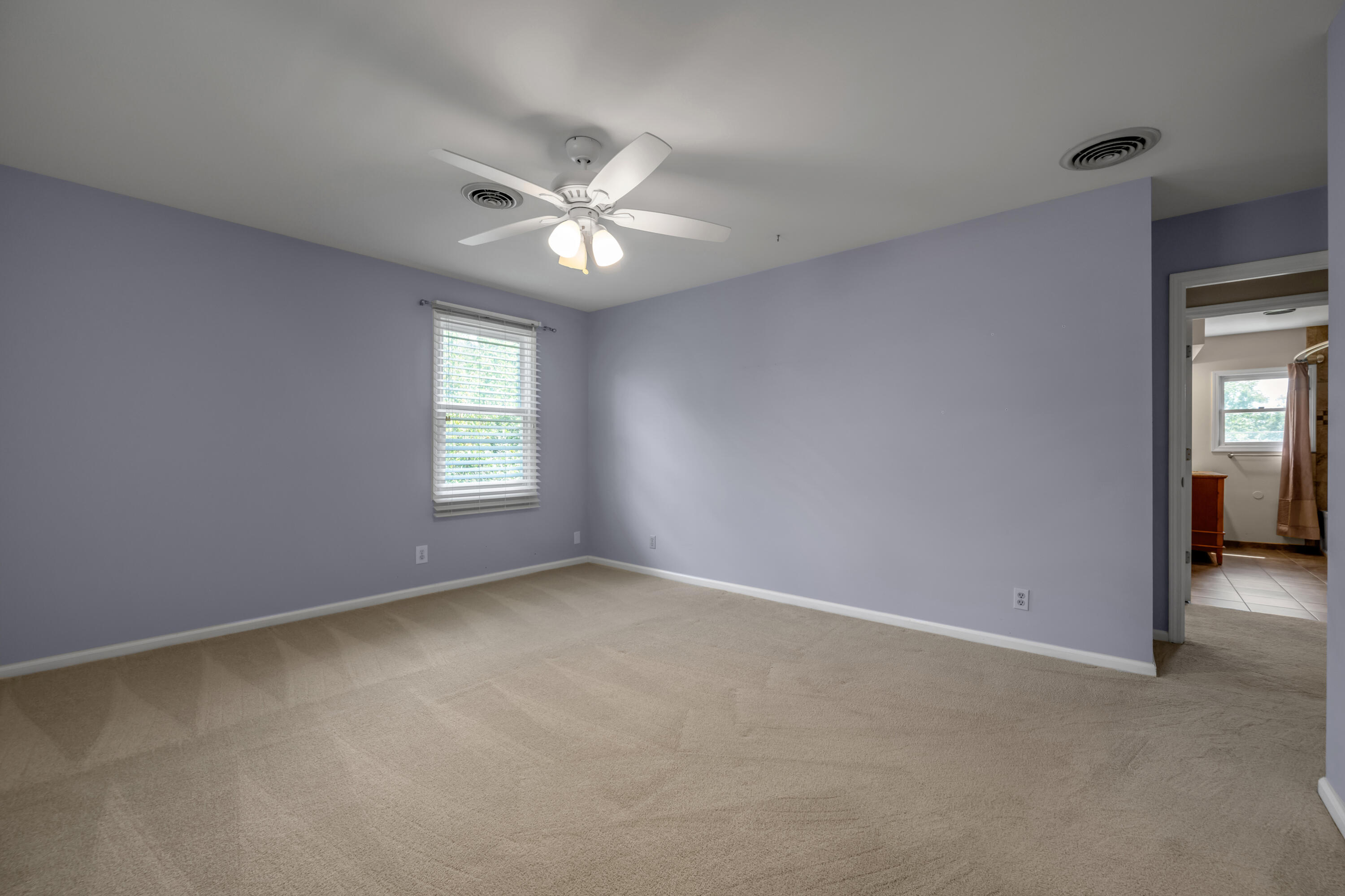 352 Albany Road Property Photo 49
