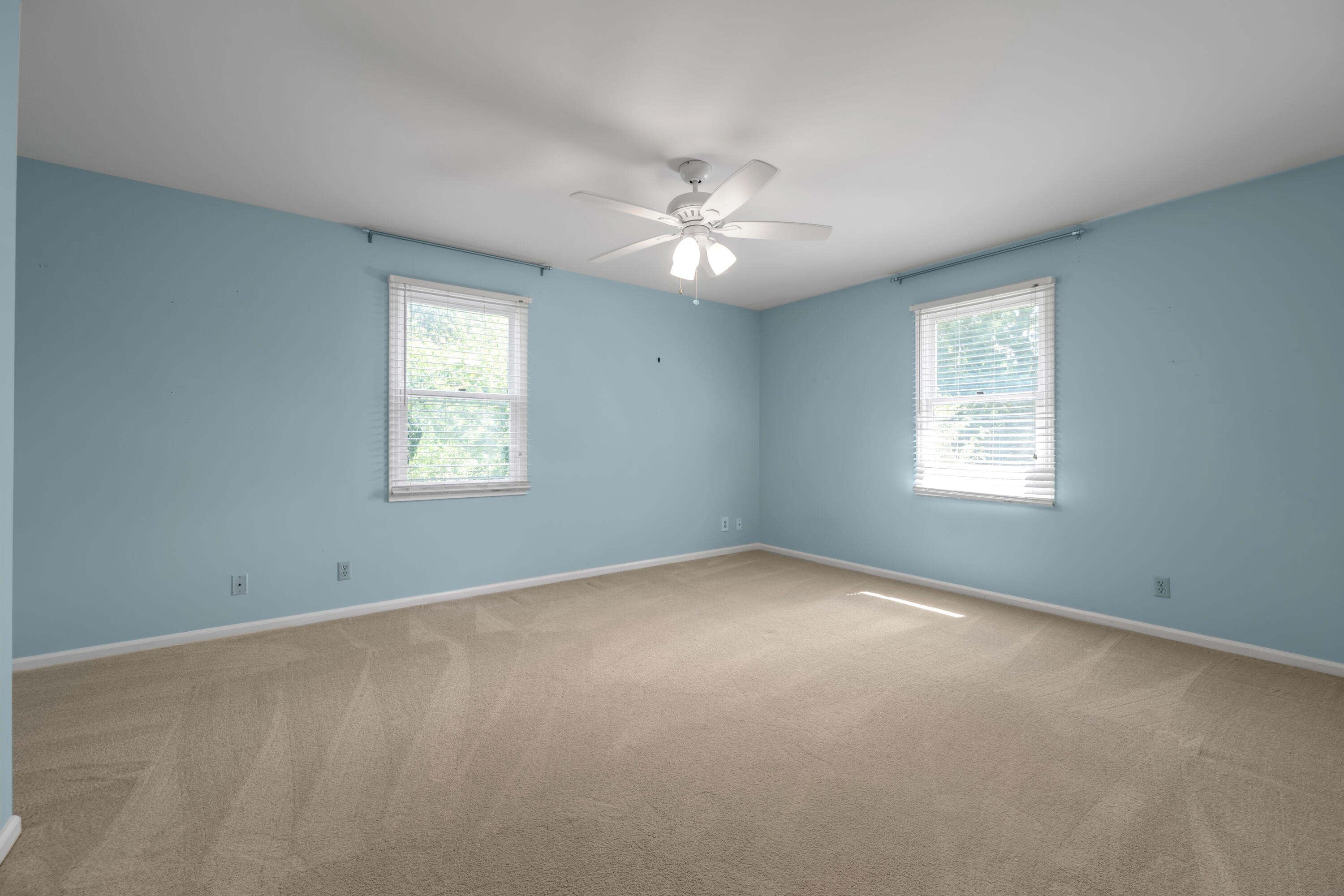 352 Albany Road Property Photo 54