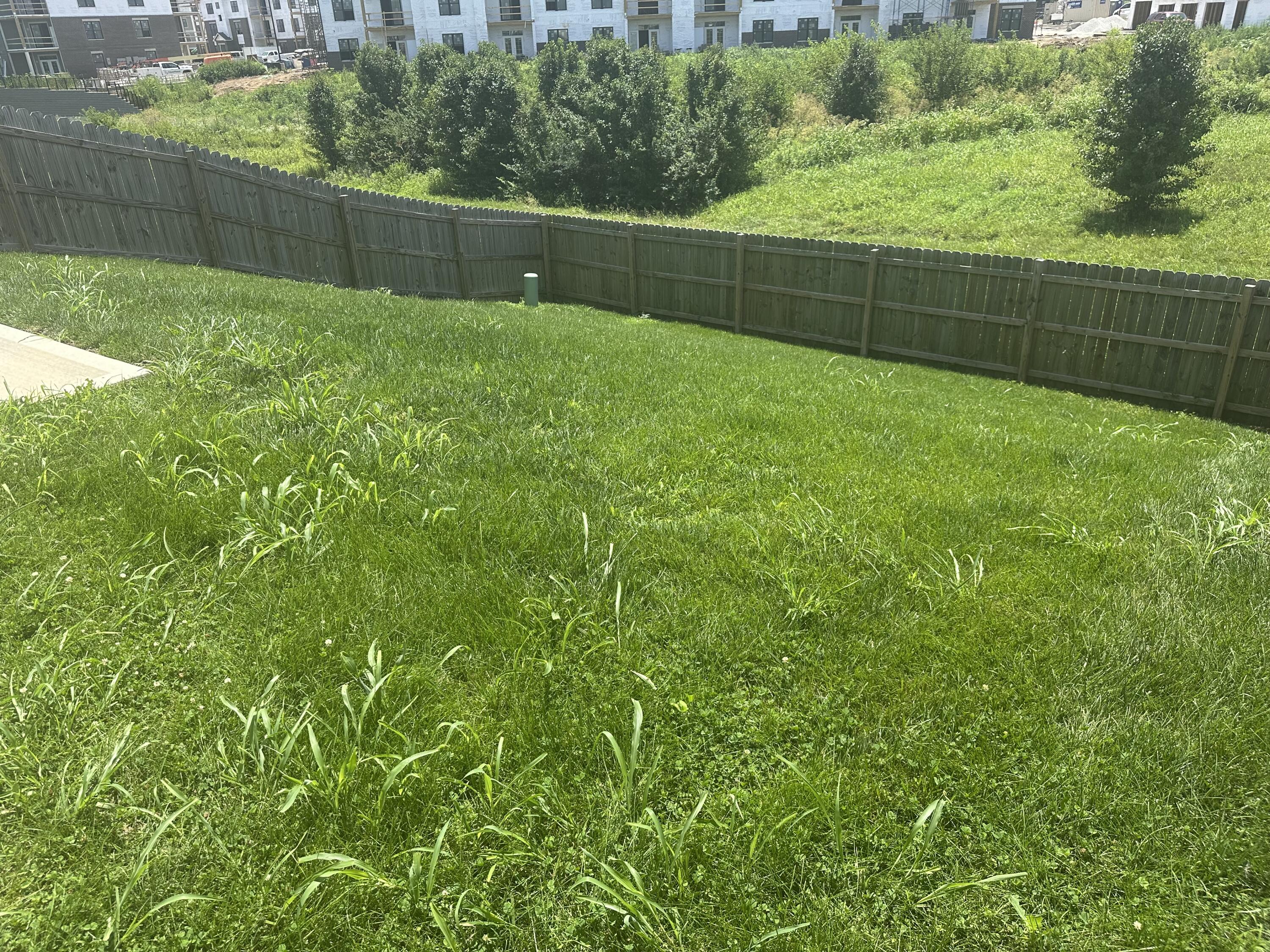 2424 Feathersound Way Property Photo 19