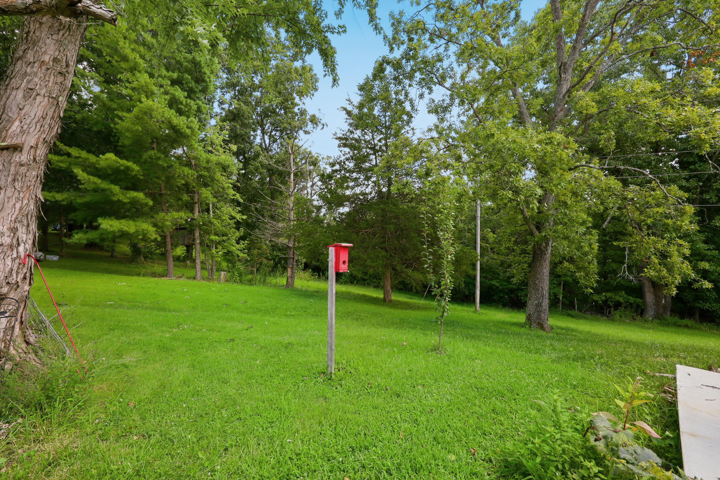 1587 Fairview Road Property Photo 29