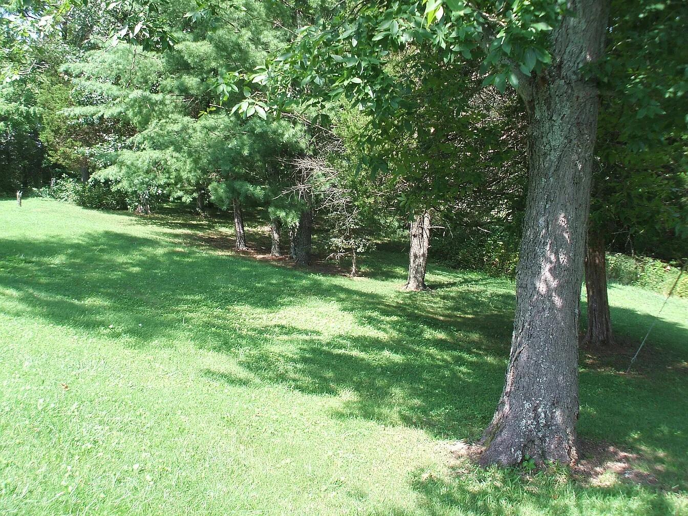 1587 Fairview Road Property Photo 32