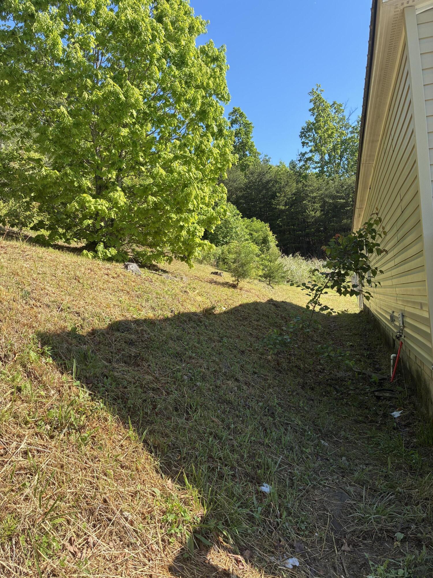 872 S Dogwood Drive Property Photo 7