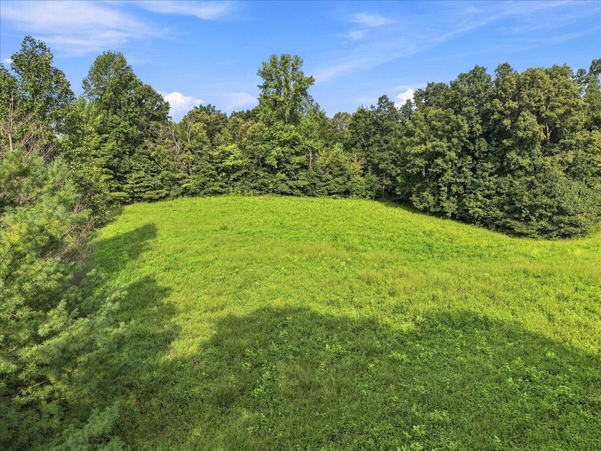 20 Acres Bill Thompson Road Property Photo 6