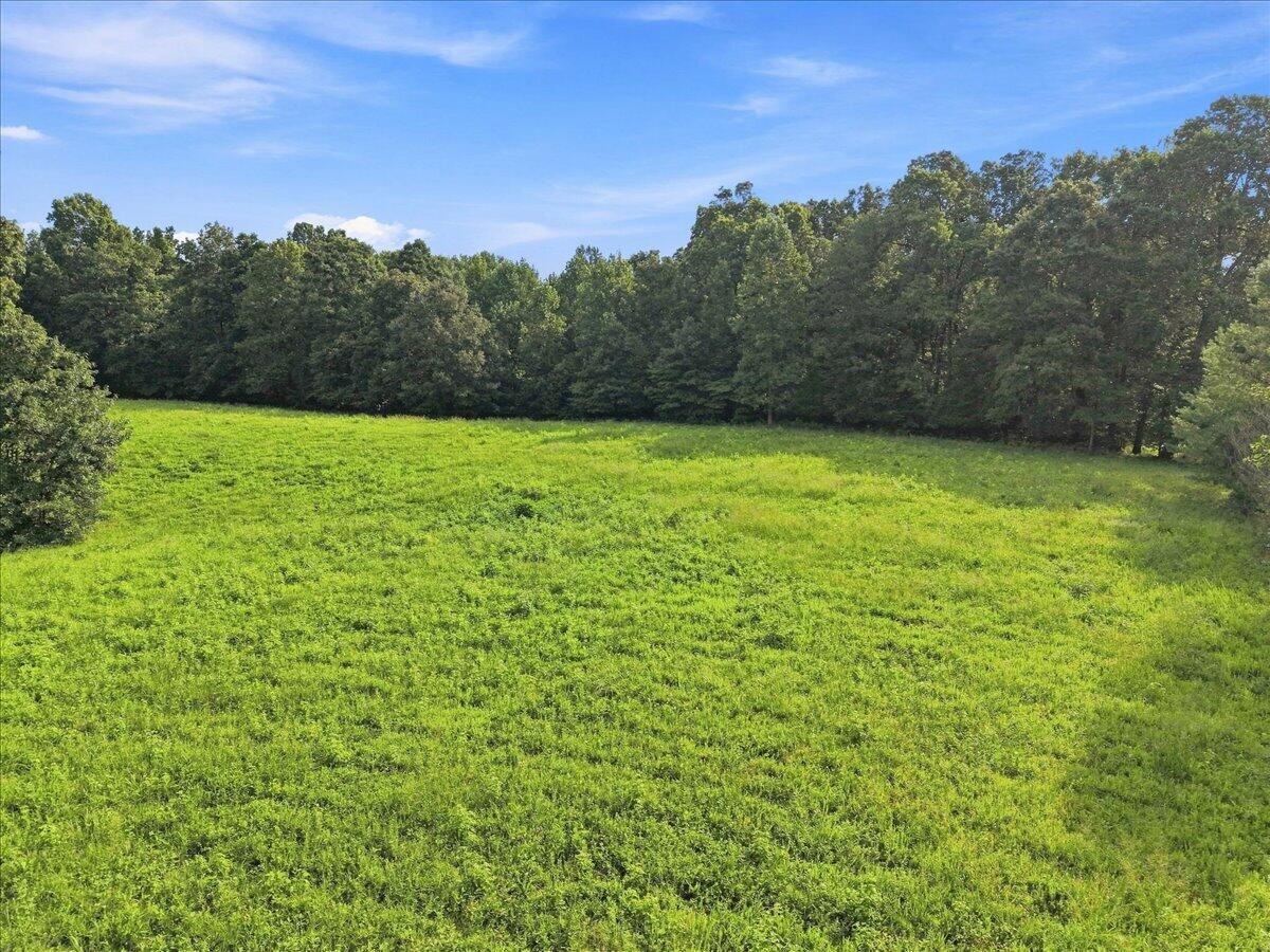 20 Acres Bill Thompson Road Property Photo 7