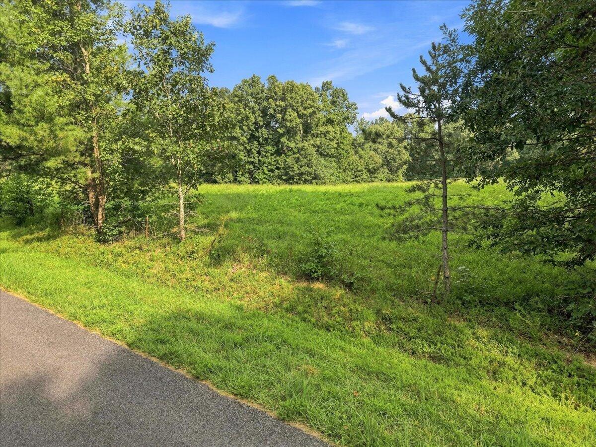 20 Acres Bill Thompson Road Property Photo 9