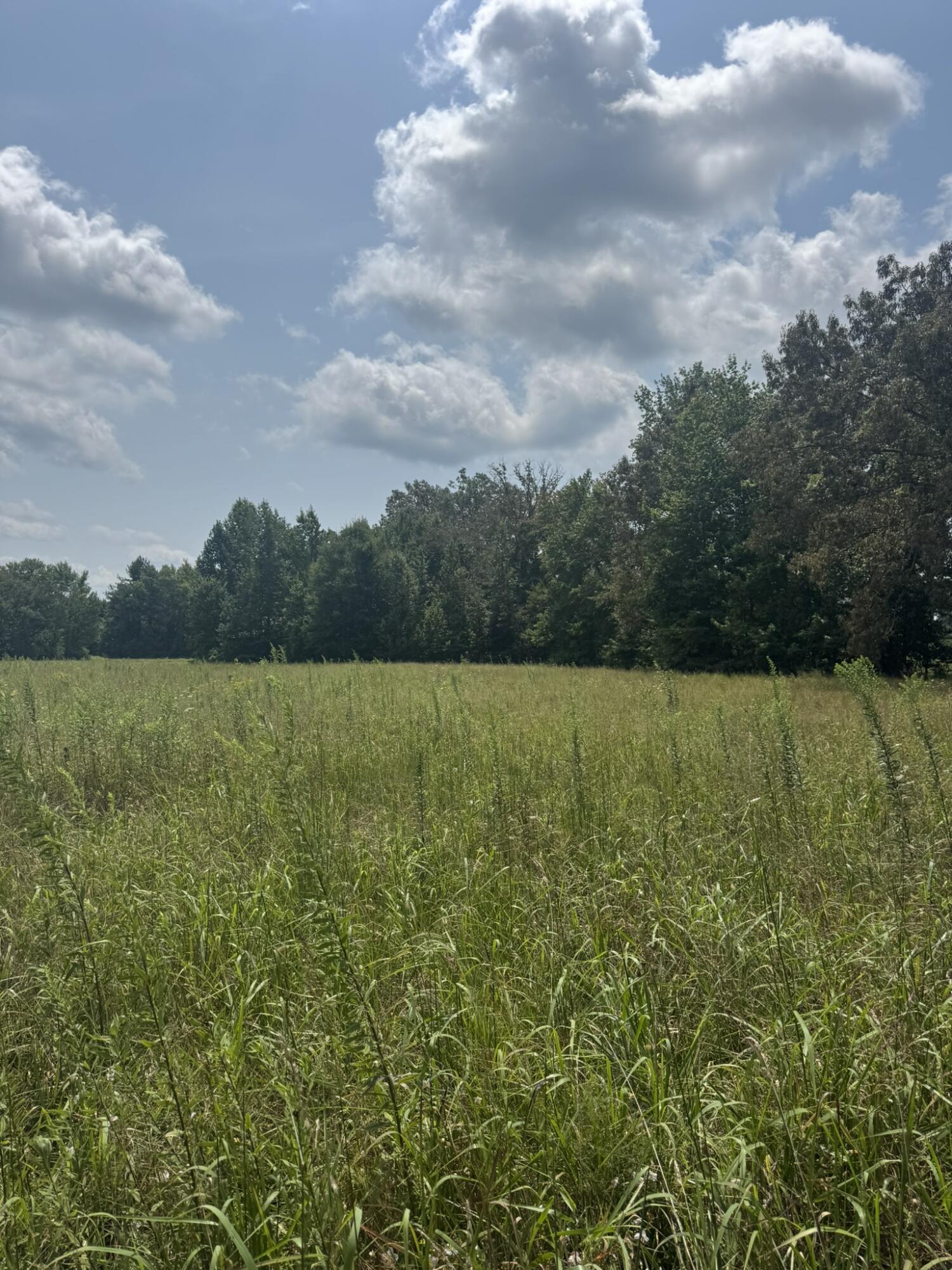 4565 State Highway 76 Property Photo 2