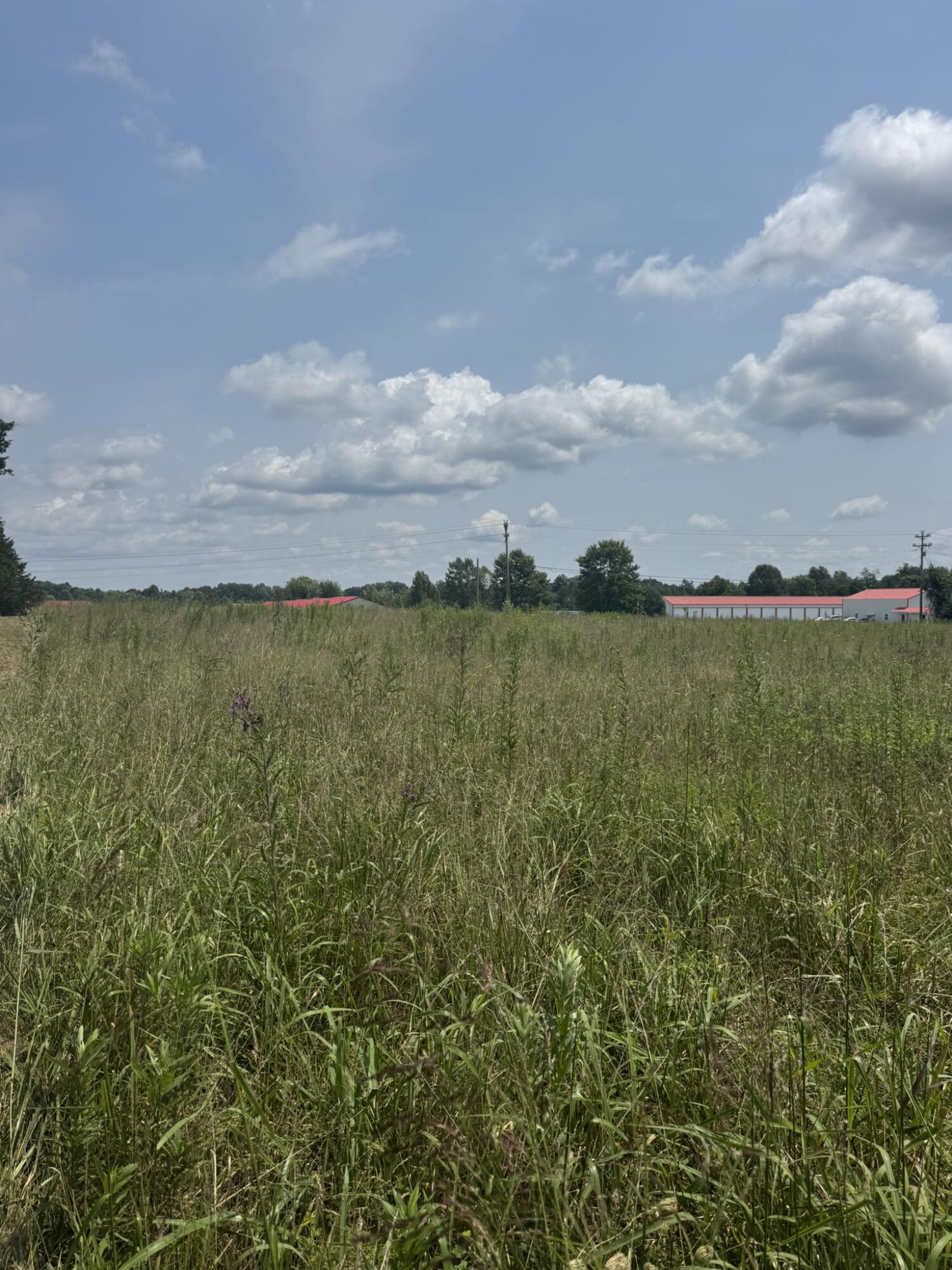 4565 State Highway 76 Property Photo 4