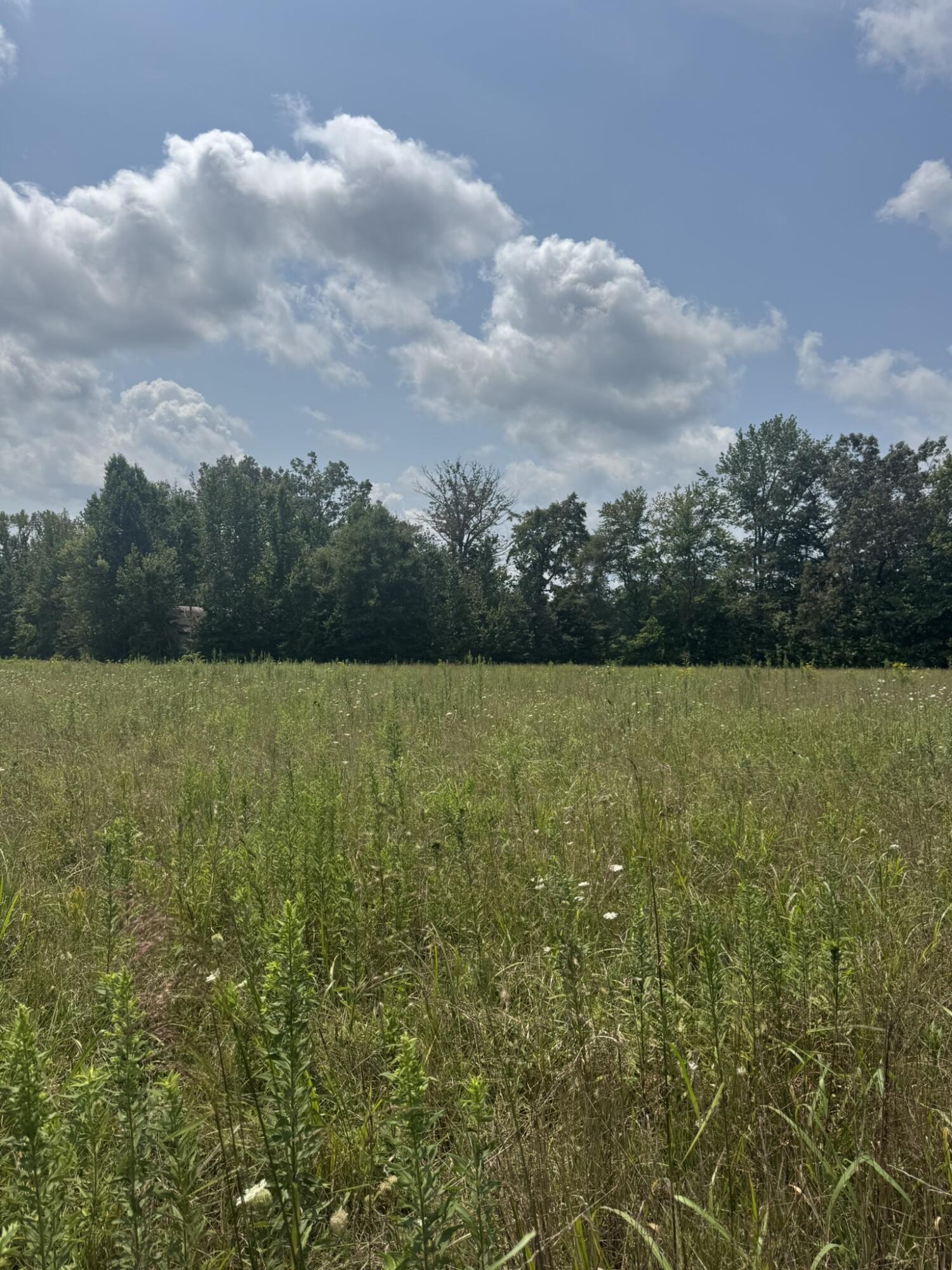 4565 State Highway 76 Property Photo 5
