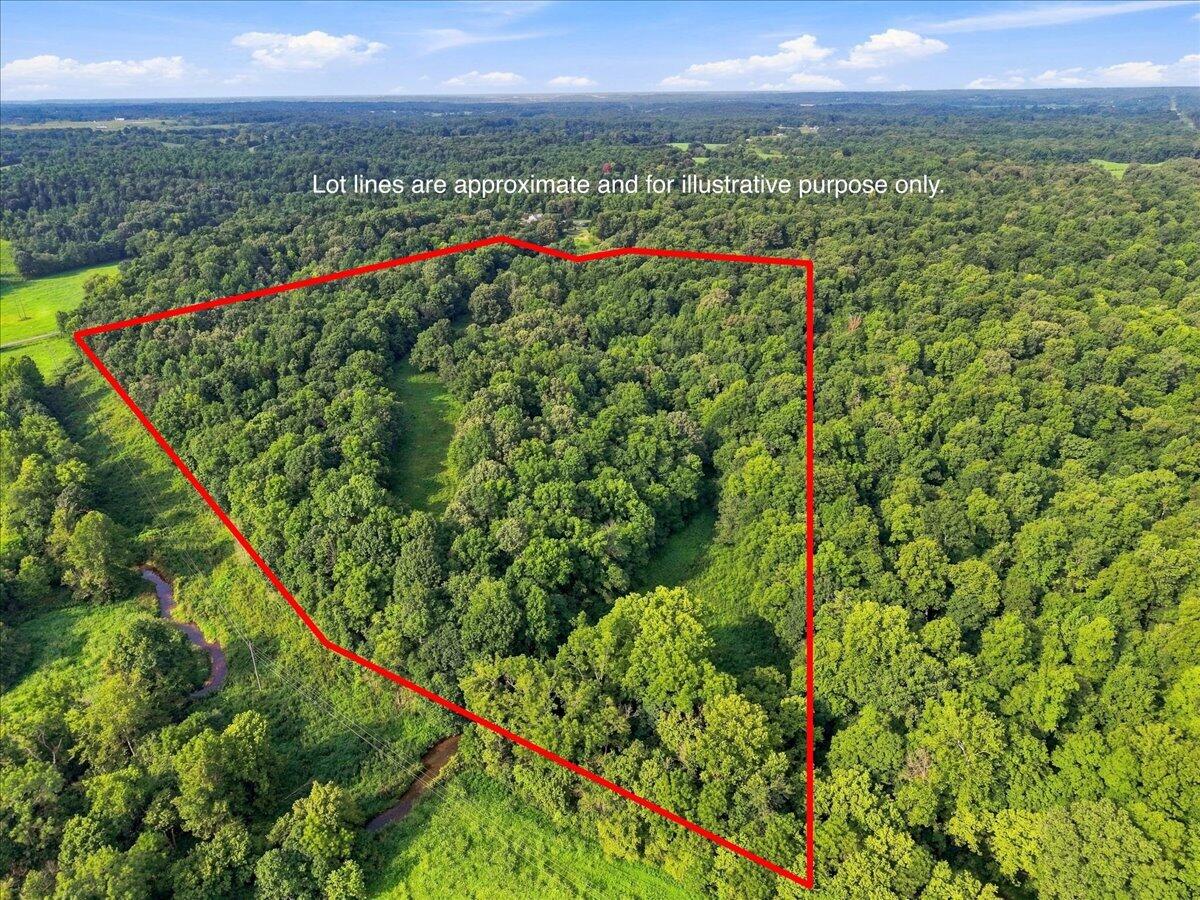55 Acres Bill Thompson Road Property Photo 3