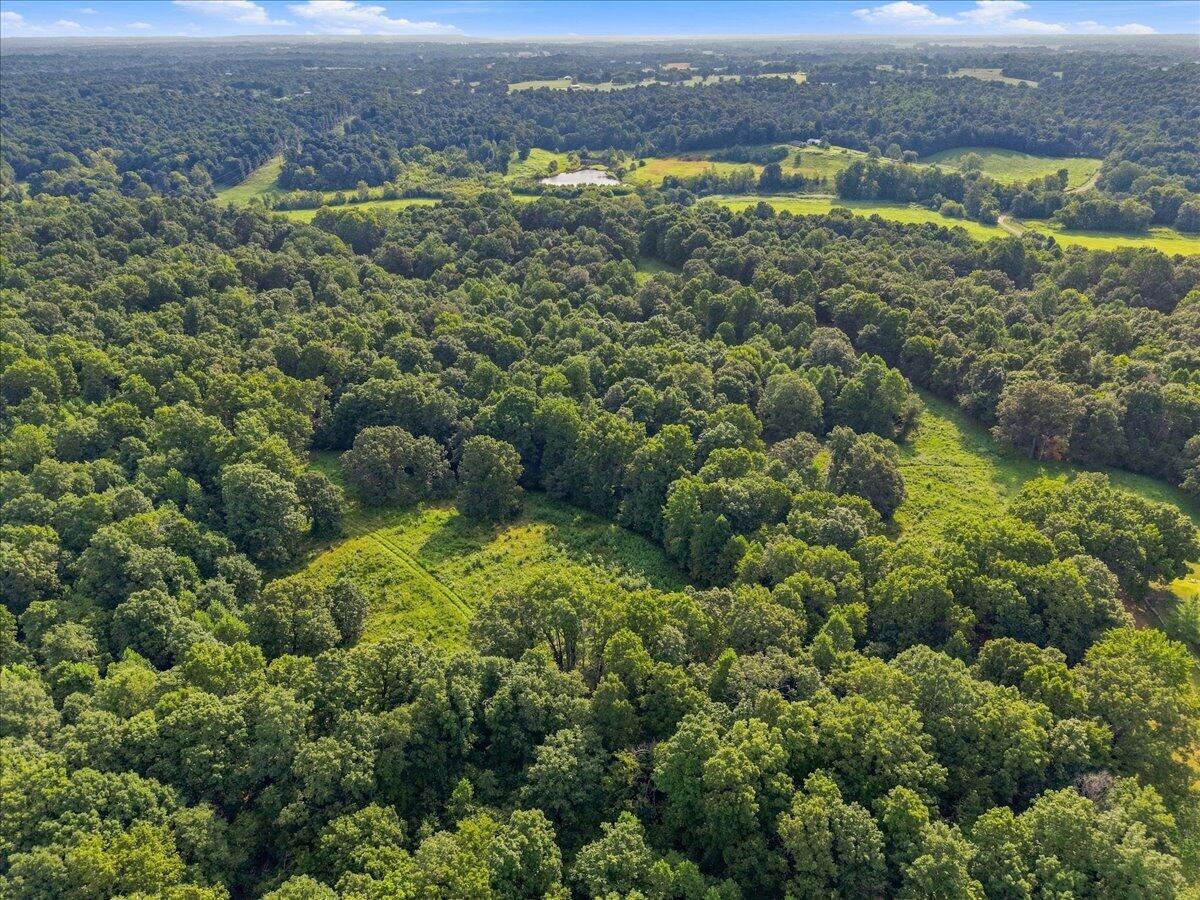 55 Acres Bill Thompson Road Property Photo 4