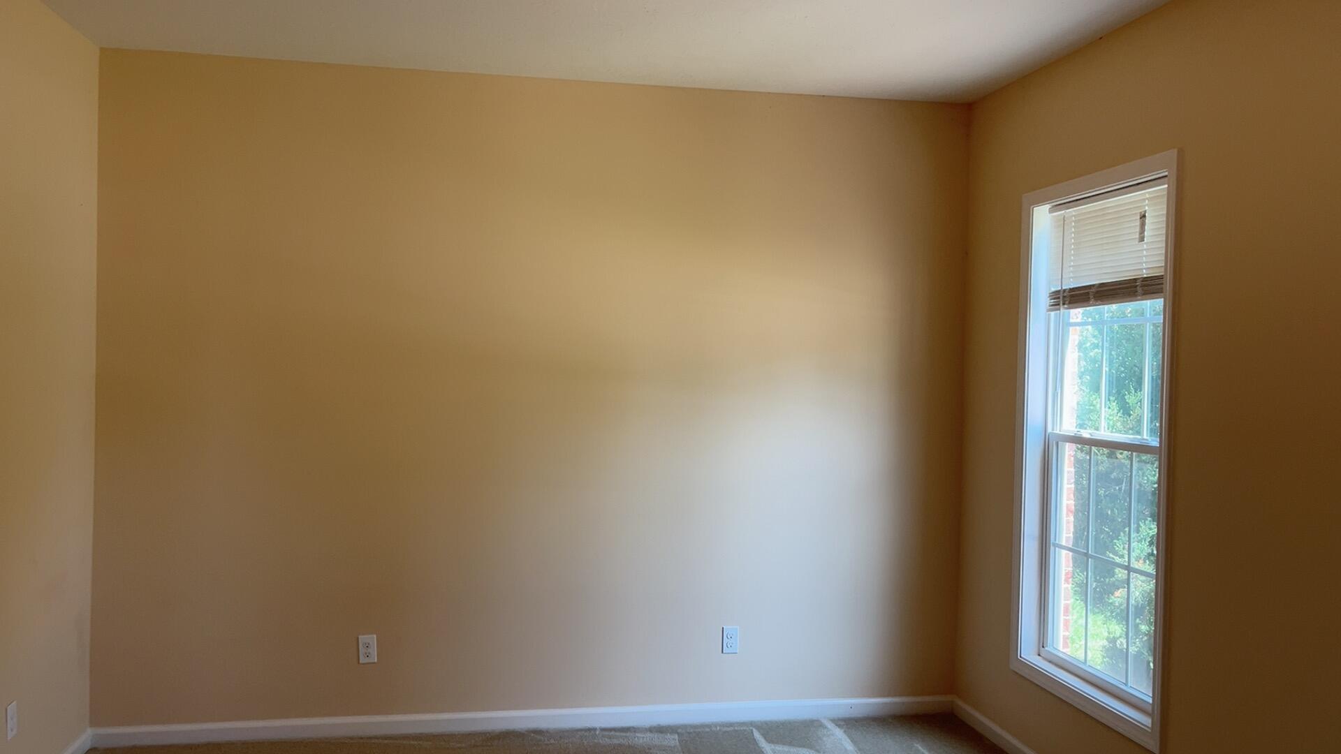3902 Mooncoin Way Property Photo 6
