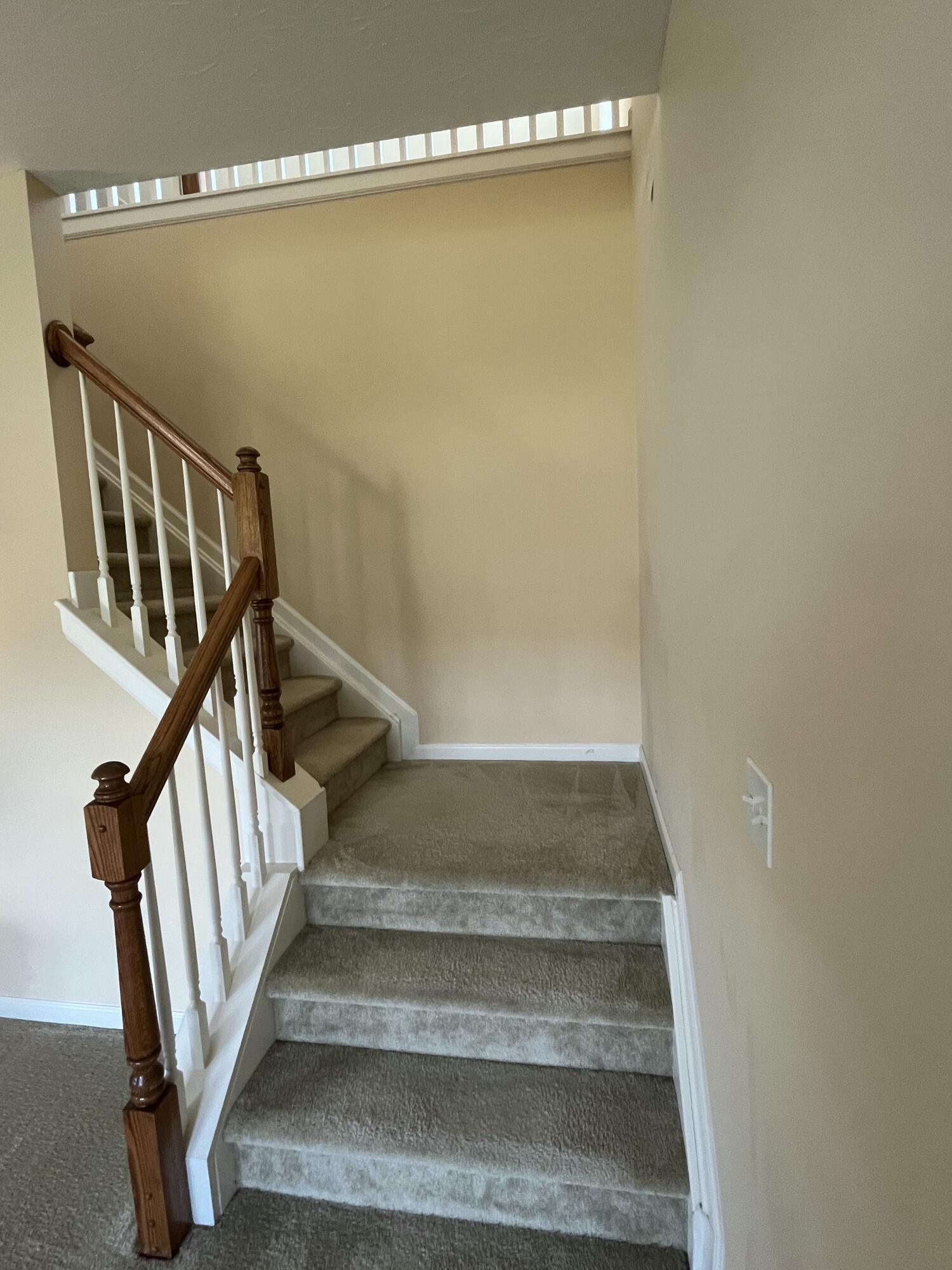 3902 Mooncoin Way Property Photo 18