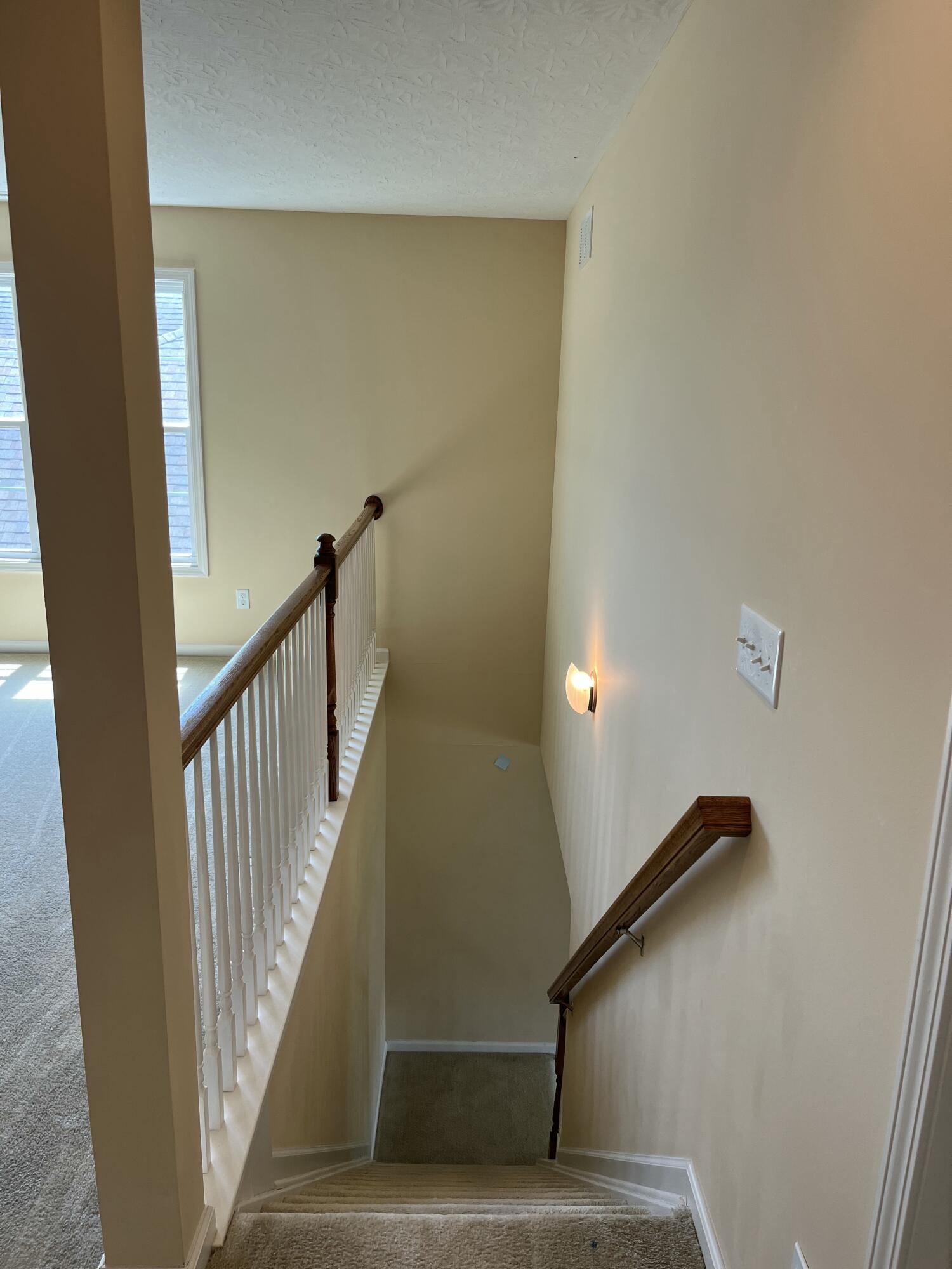 3902 Mooncoin Way Property Photo 31