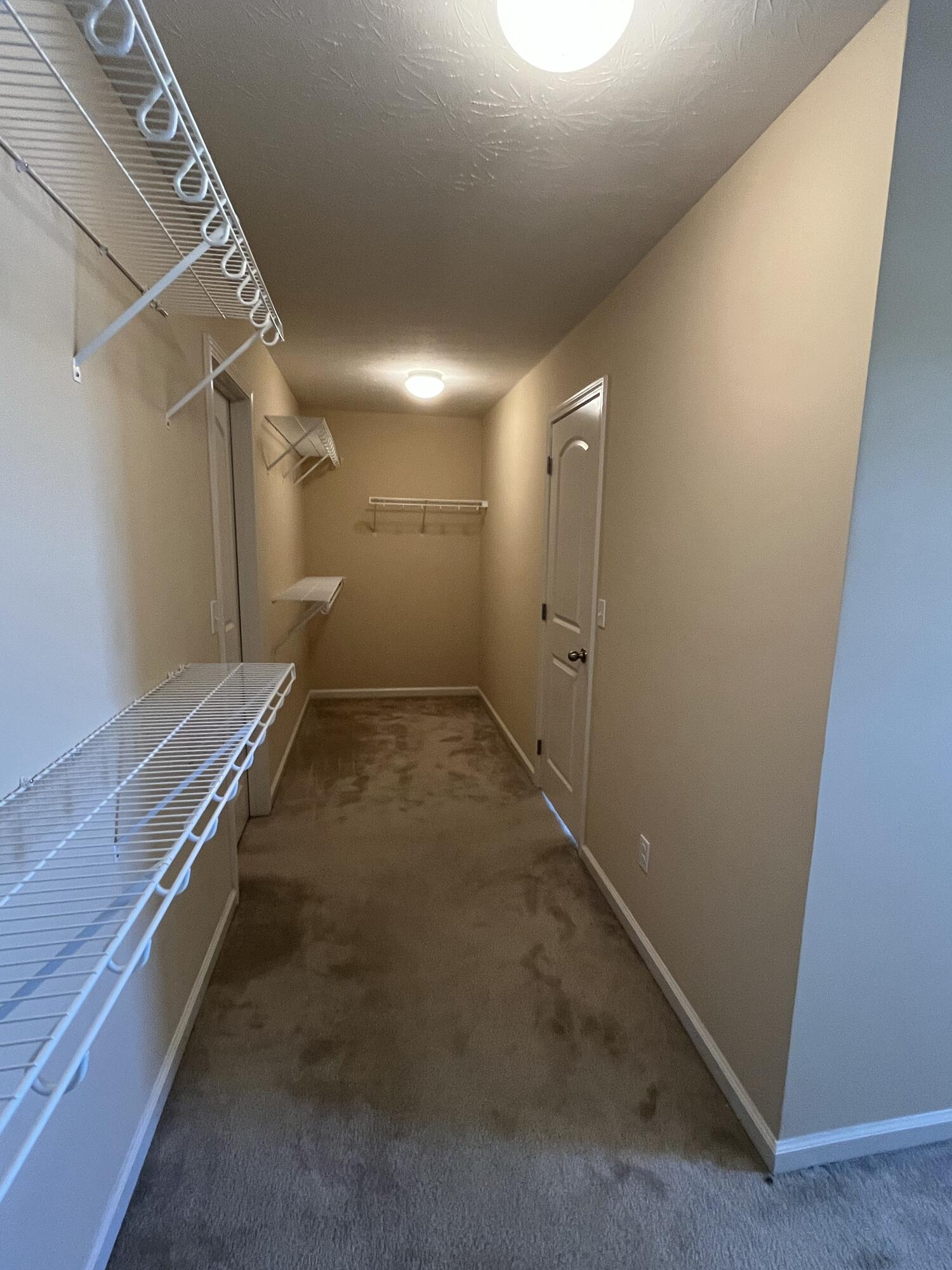 3902 Mooncoin Way Property Photo 39