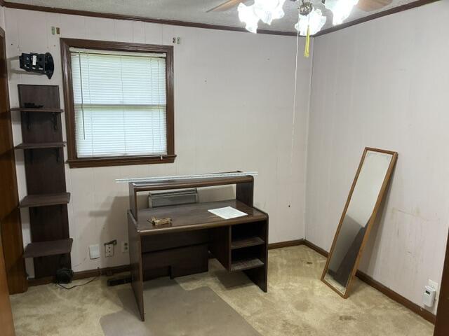 24 Spring Street Property Photo 27