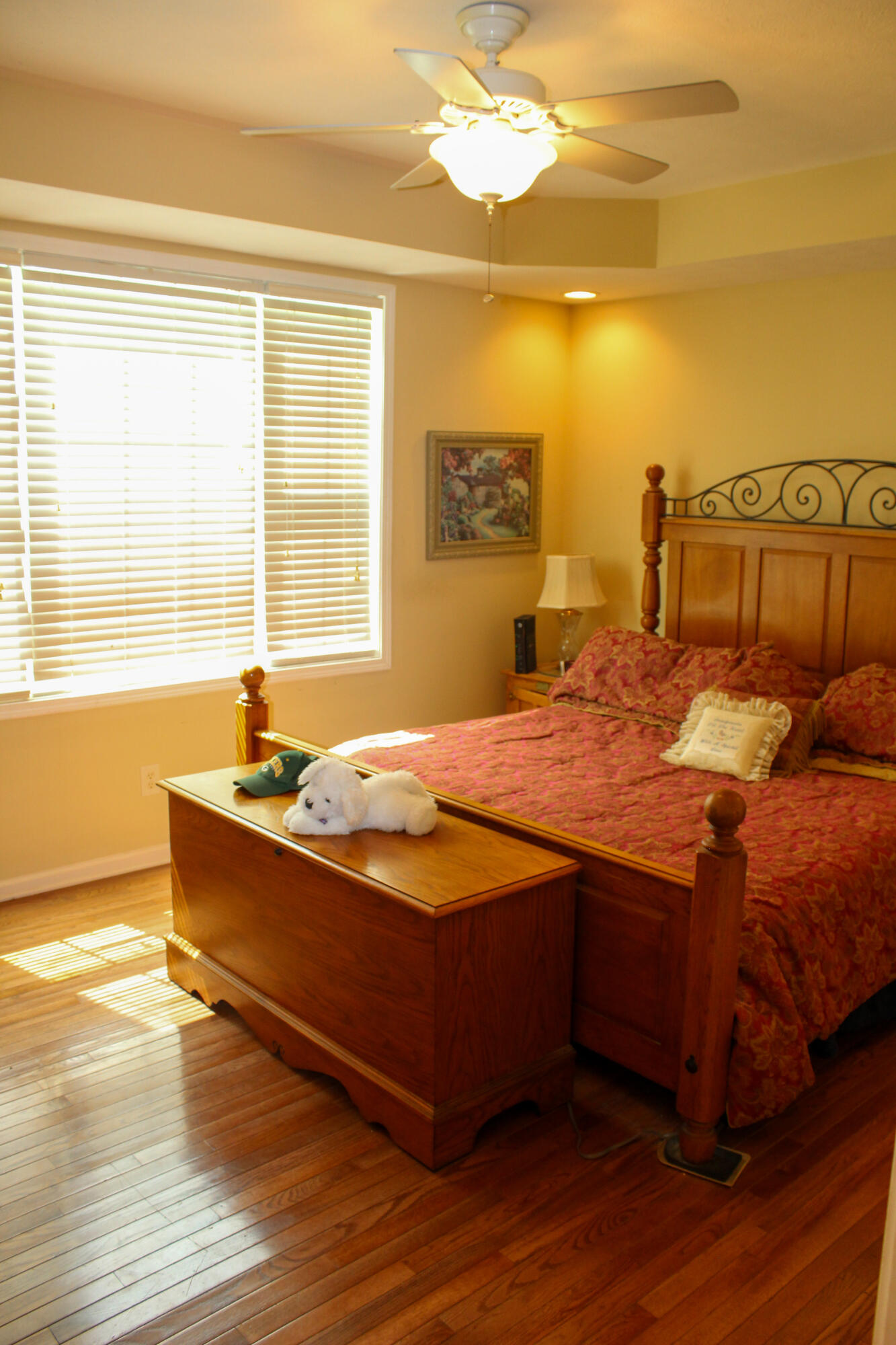 43 Crosshill Road Property Photo 5