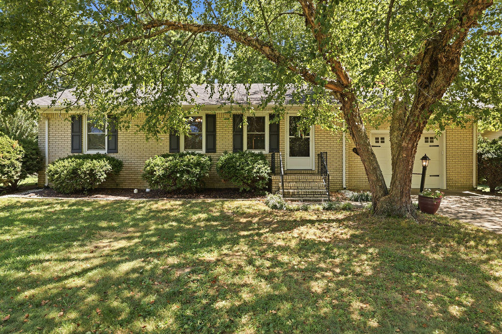 517 Shady Lane Property Photo 1