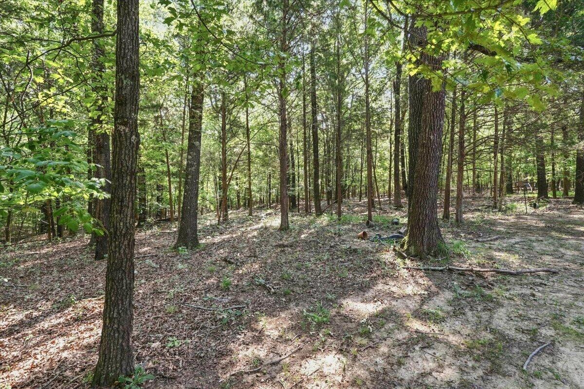 3472 Barge Island Road Property Photo 39