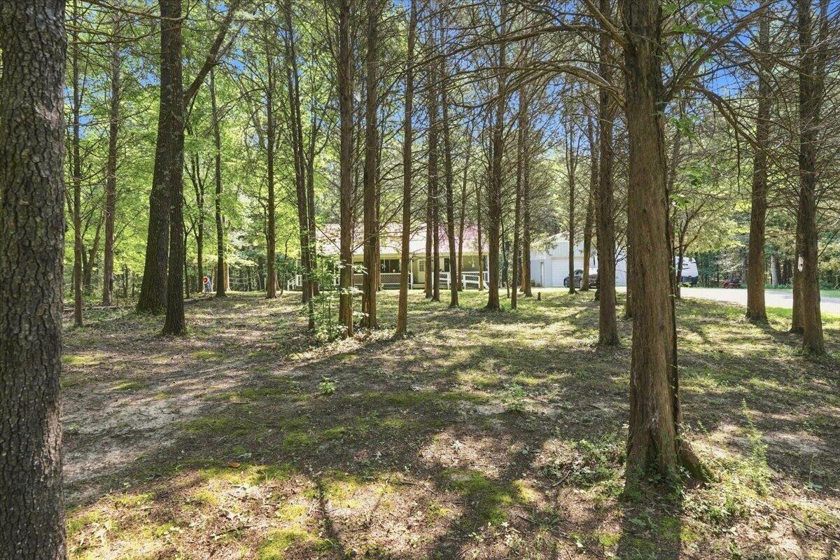 3472 Barge Island Road Property Photo 44