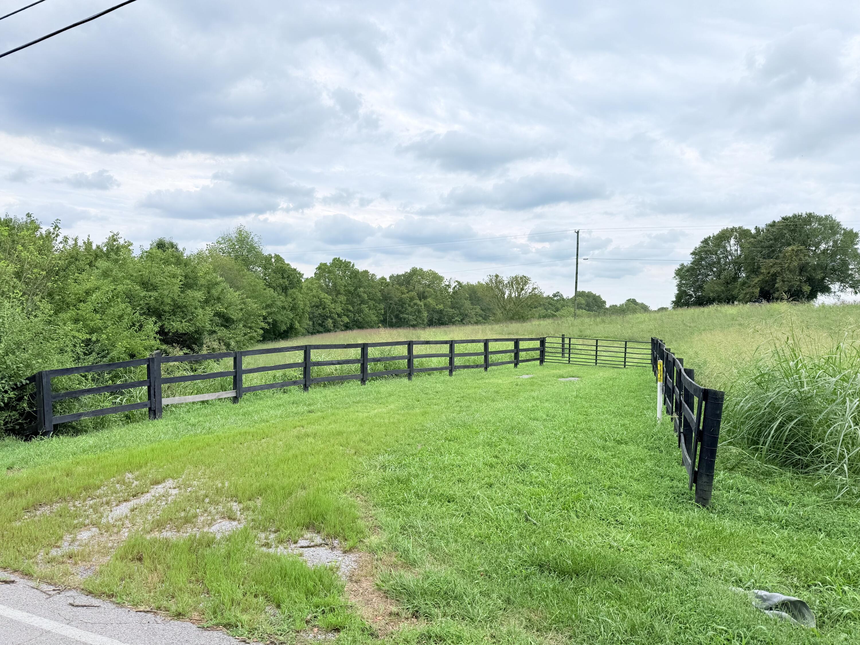 546-b Cane Ridge Road Property Photo 4