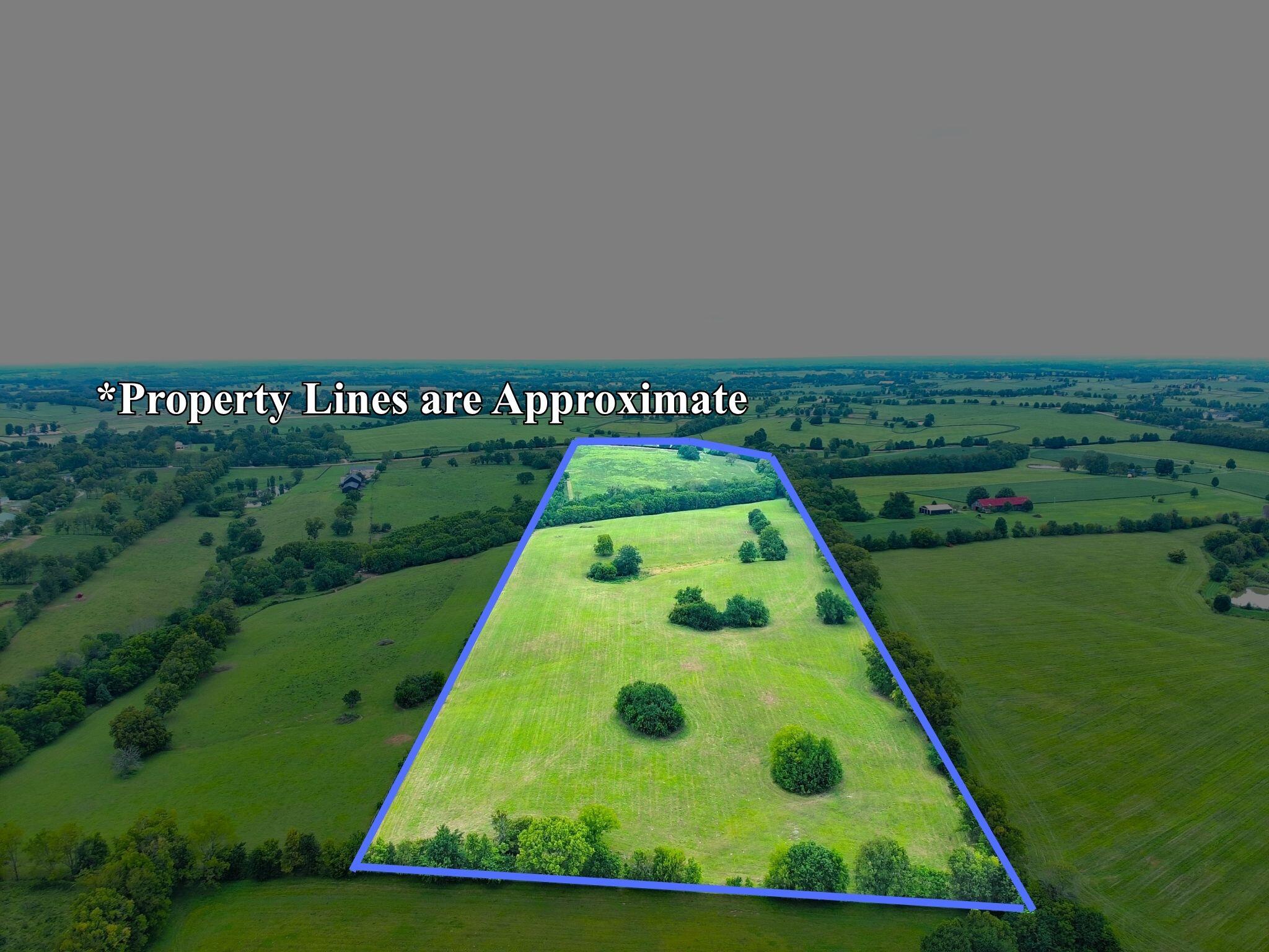546-b Cane Ridge Road Property Photo 6
