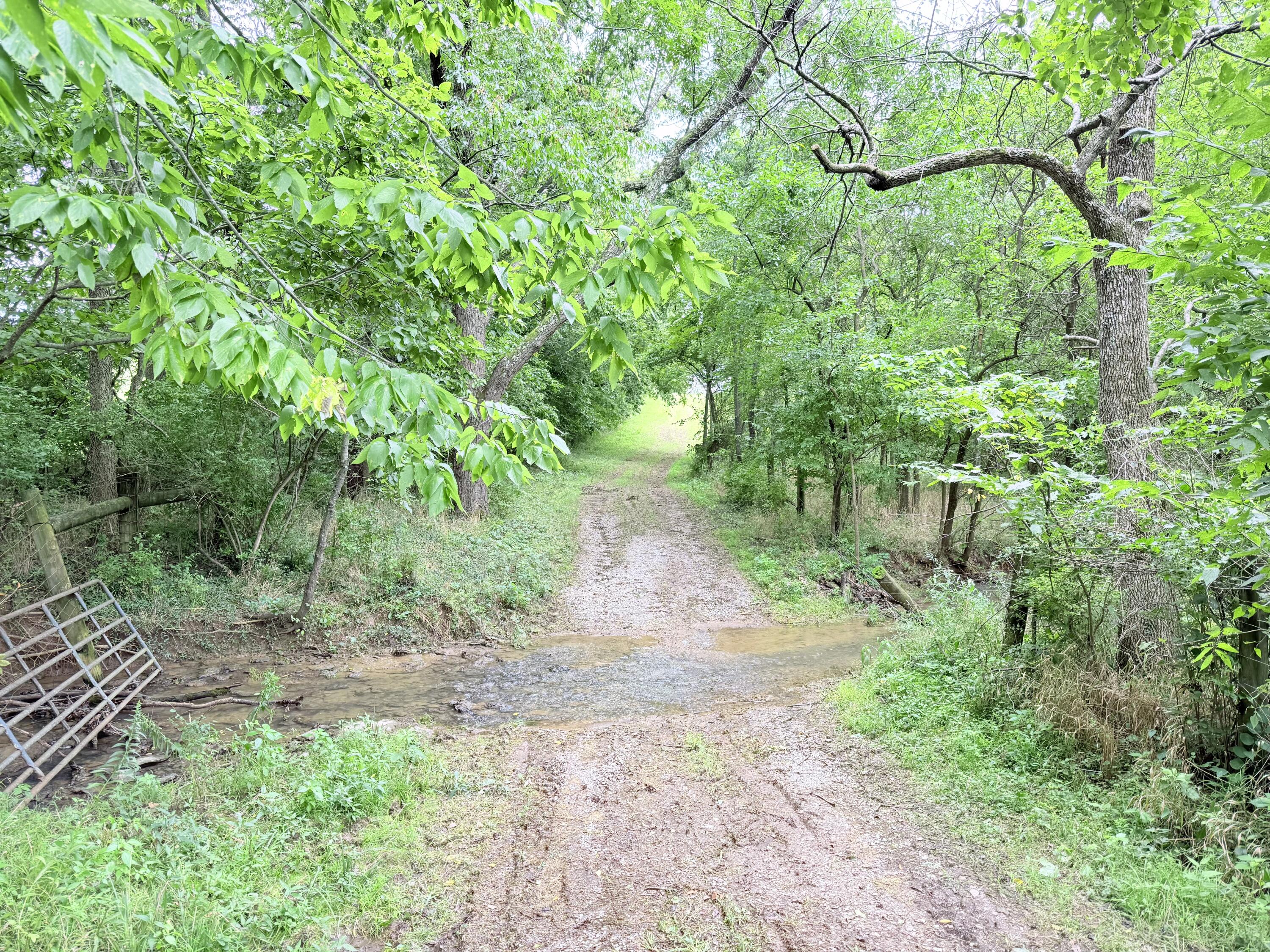 546-b Cane Ridge Road Property Photo 10