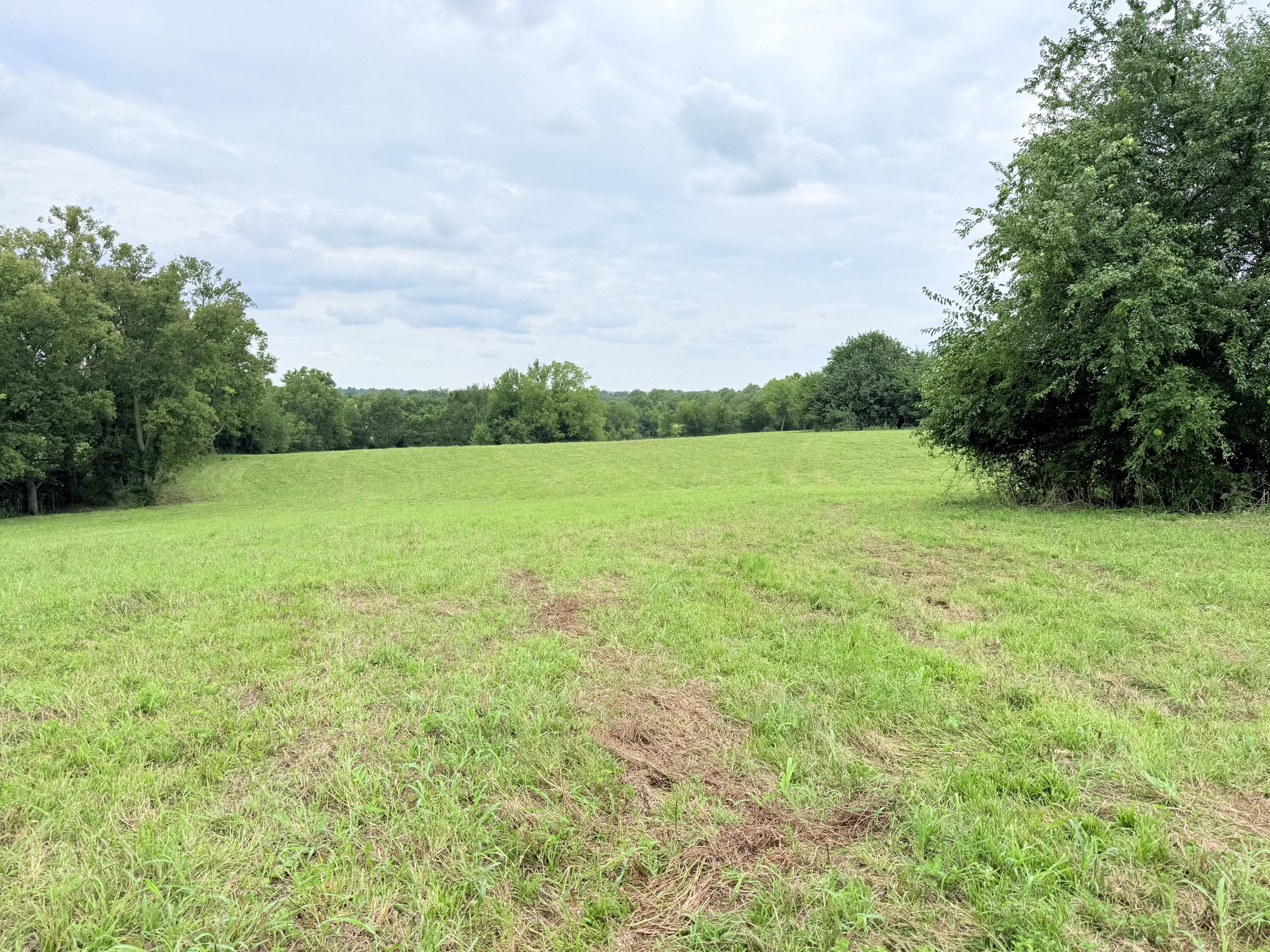 546-b Cane Ridge Road Property Photo 11