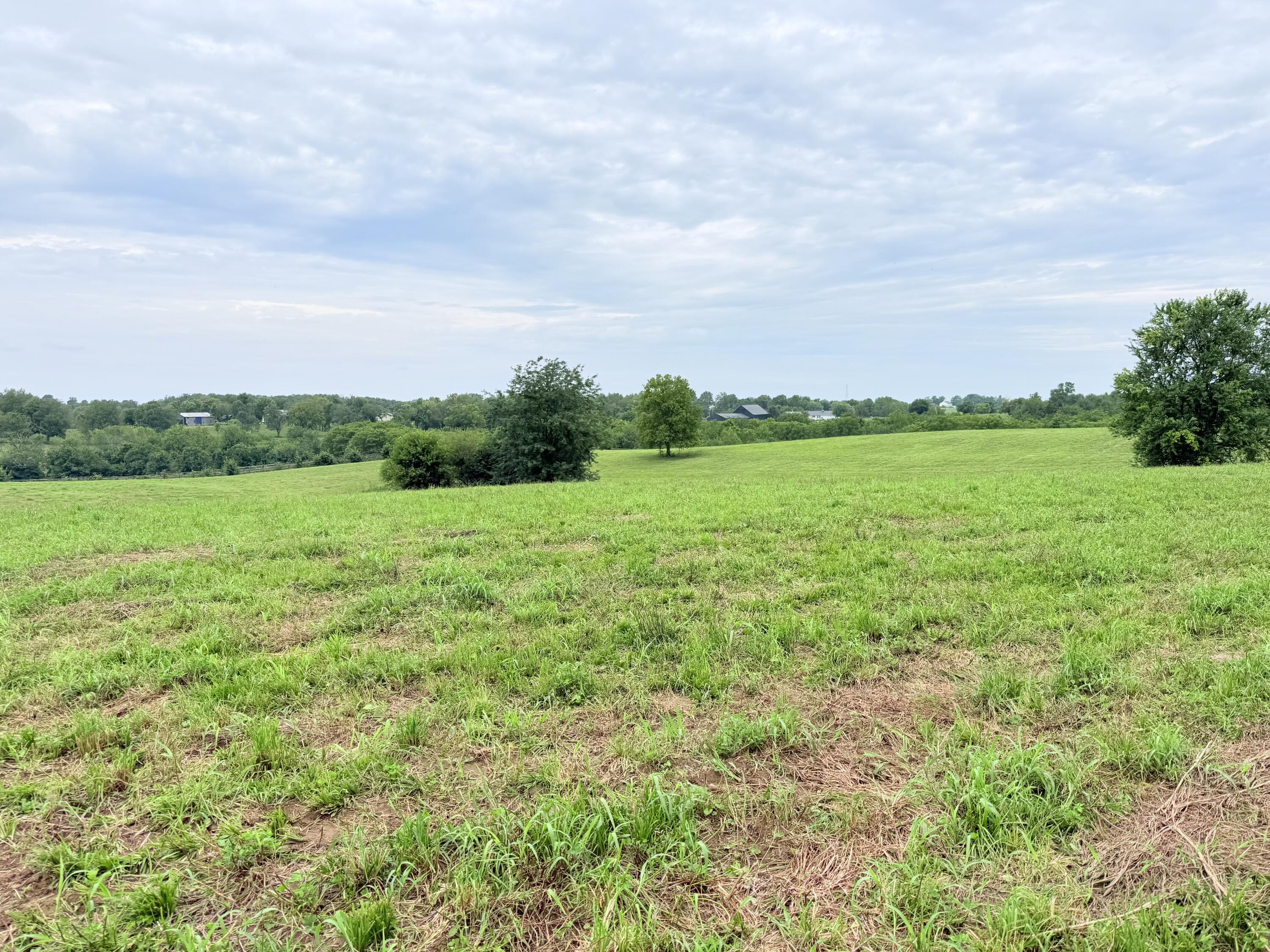 546-b Cane Ridge Road Property Photo 13