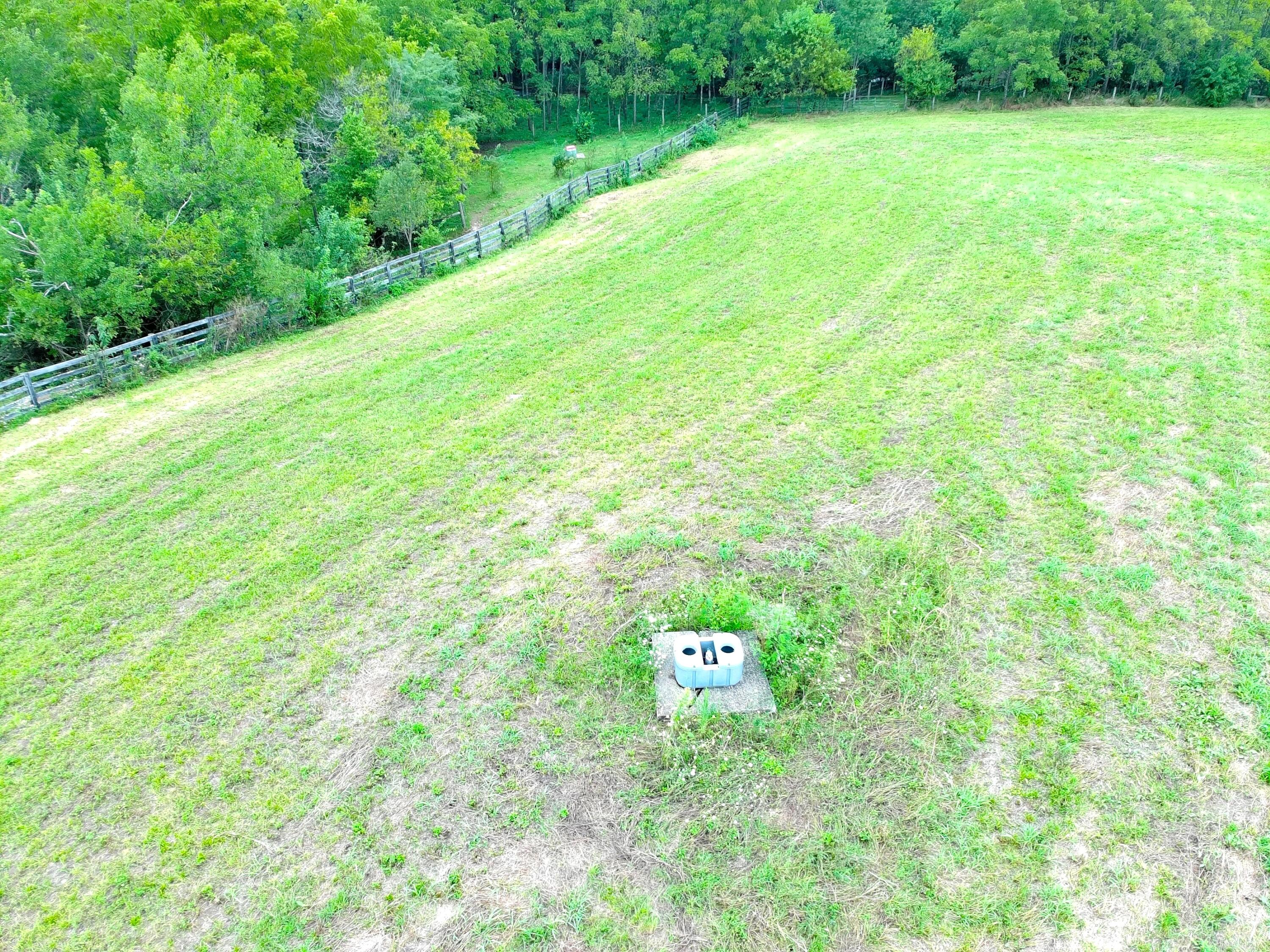546-b Cane Ridge Road Property Photo 14