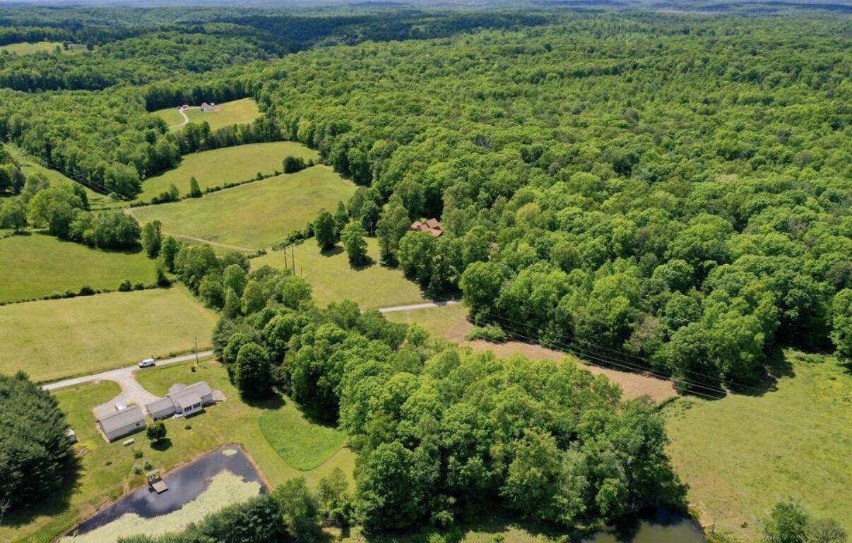 6330 W Laurel Road 4.8 Acres - Land Only Property Photo 5