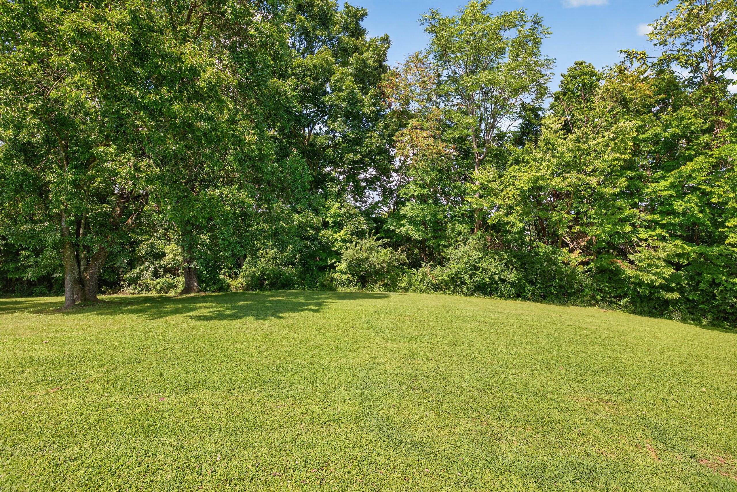 100 Kennedy Bridge Road Property Photo 45