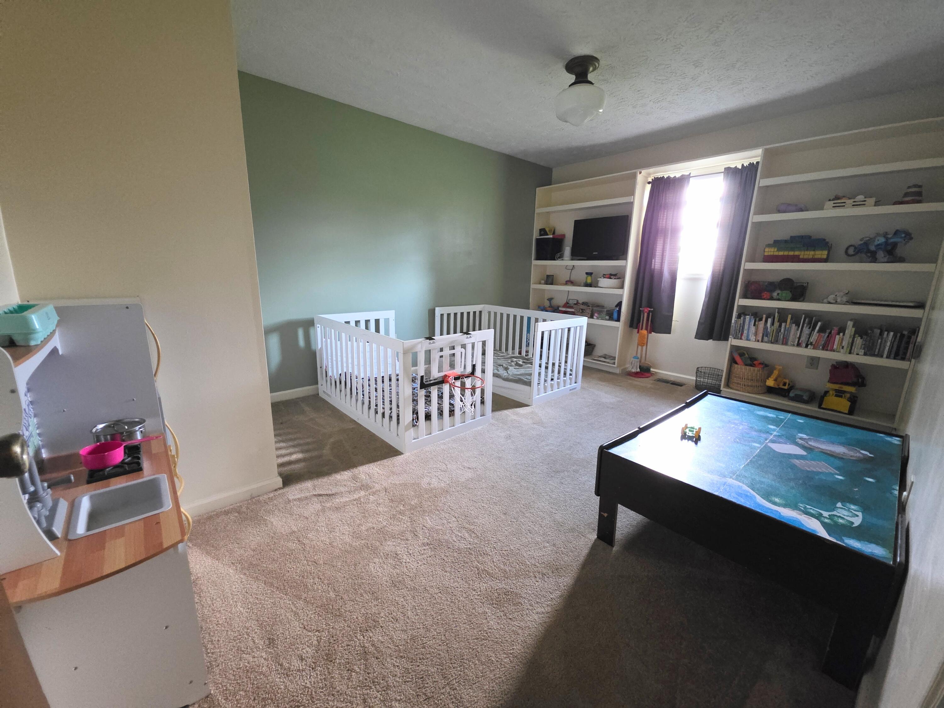 175 Mountain View Drive Property Photo 13