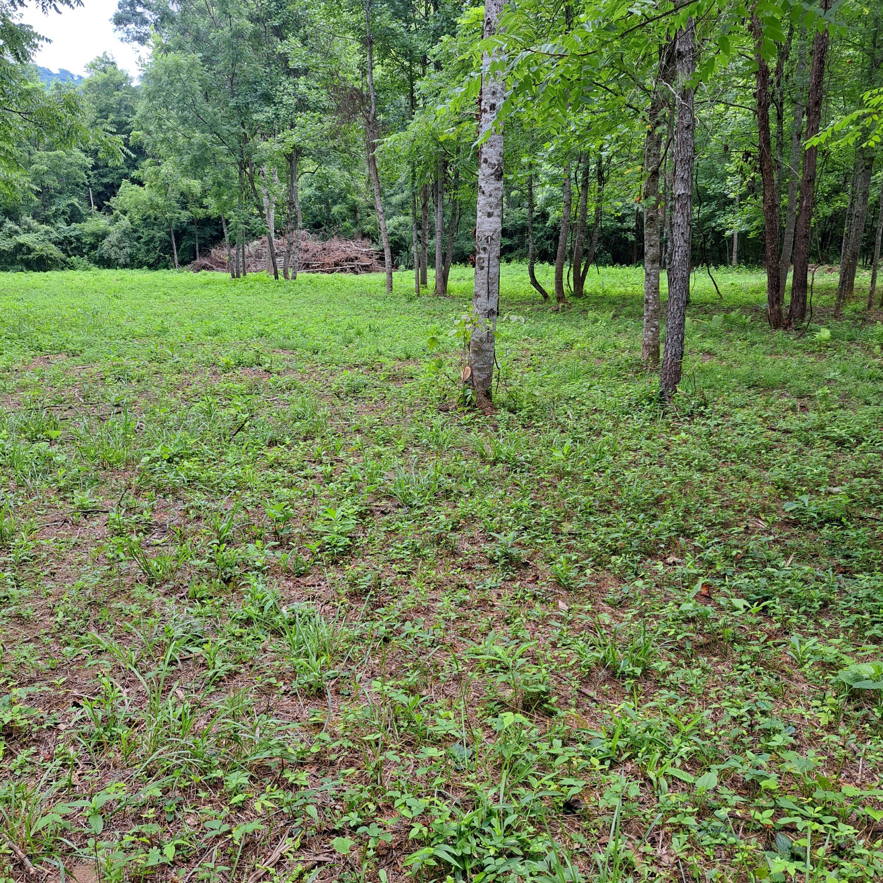 99 Jackson Road Property Photo 1