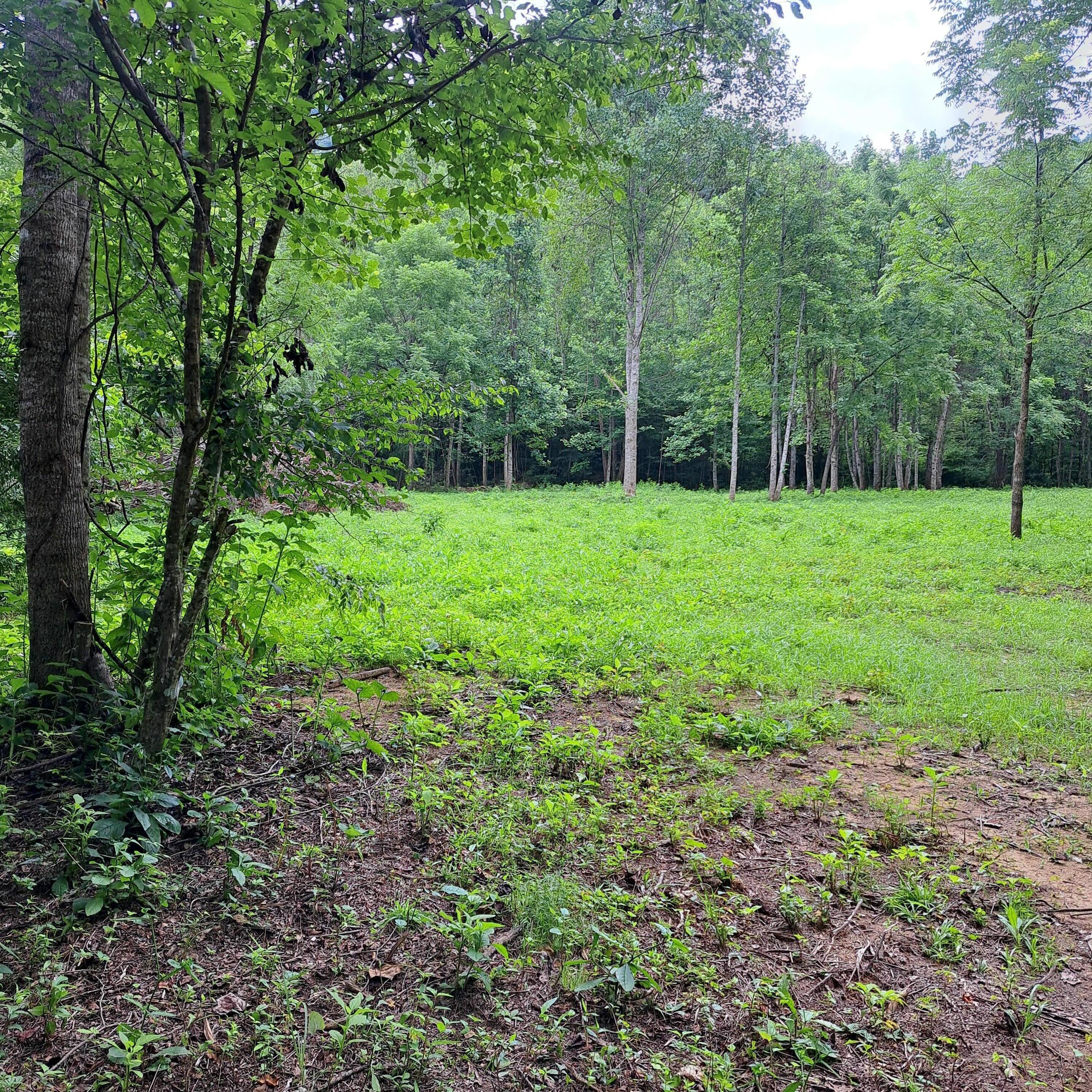 99 Jackson Road Property Photo 12