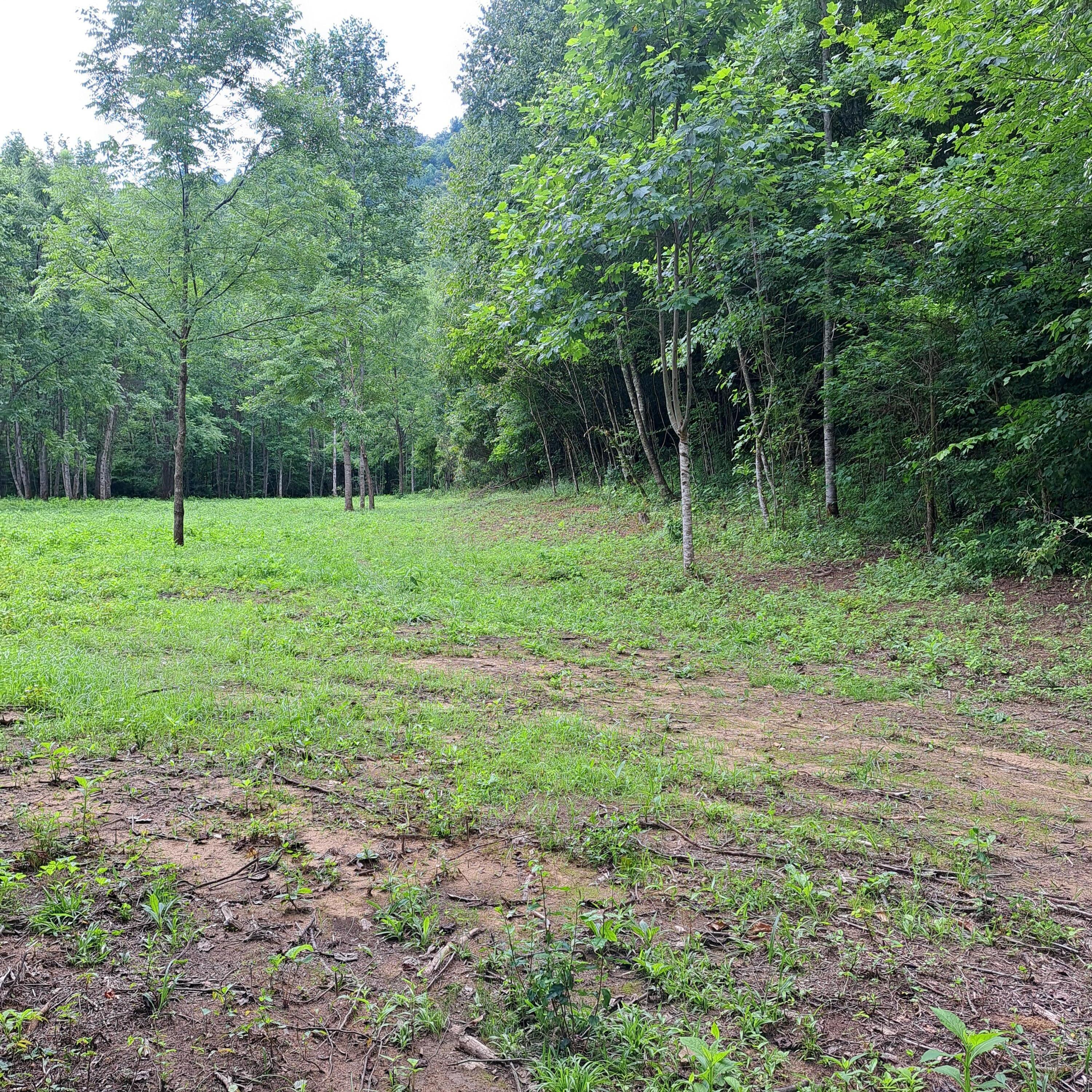 99 Jackson Road Property Photo 13