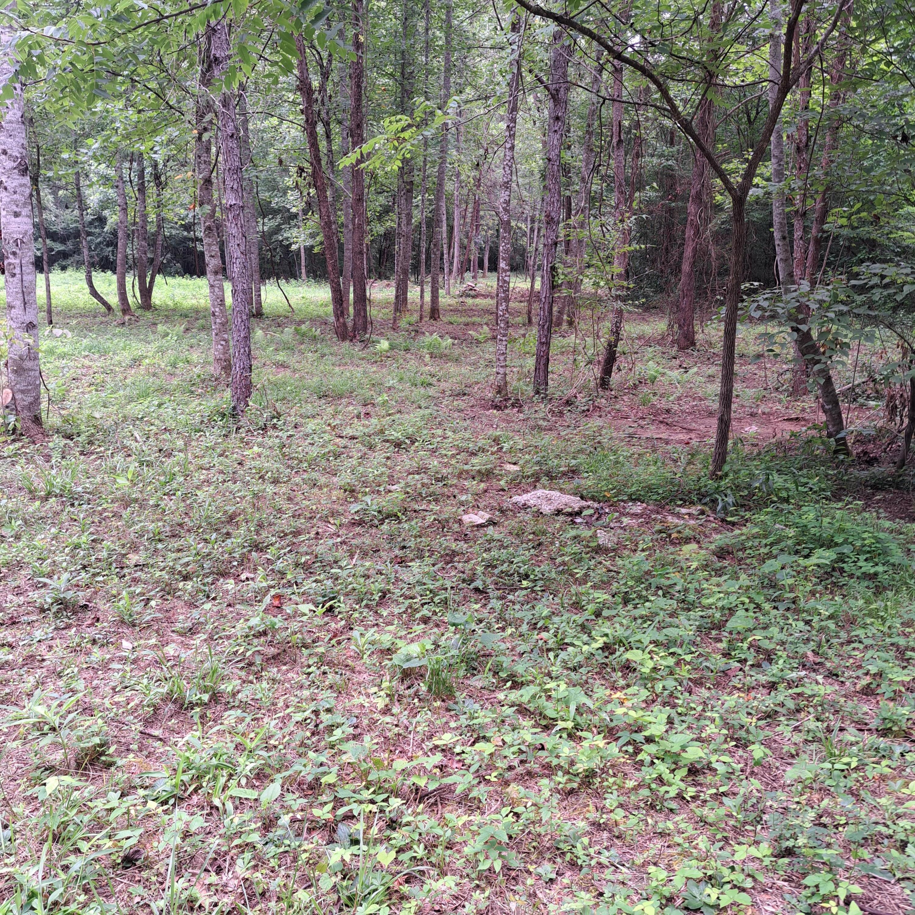 99 Jackson Road Property Photo 16