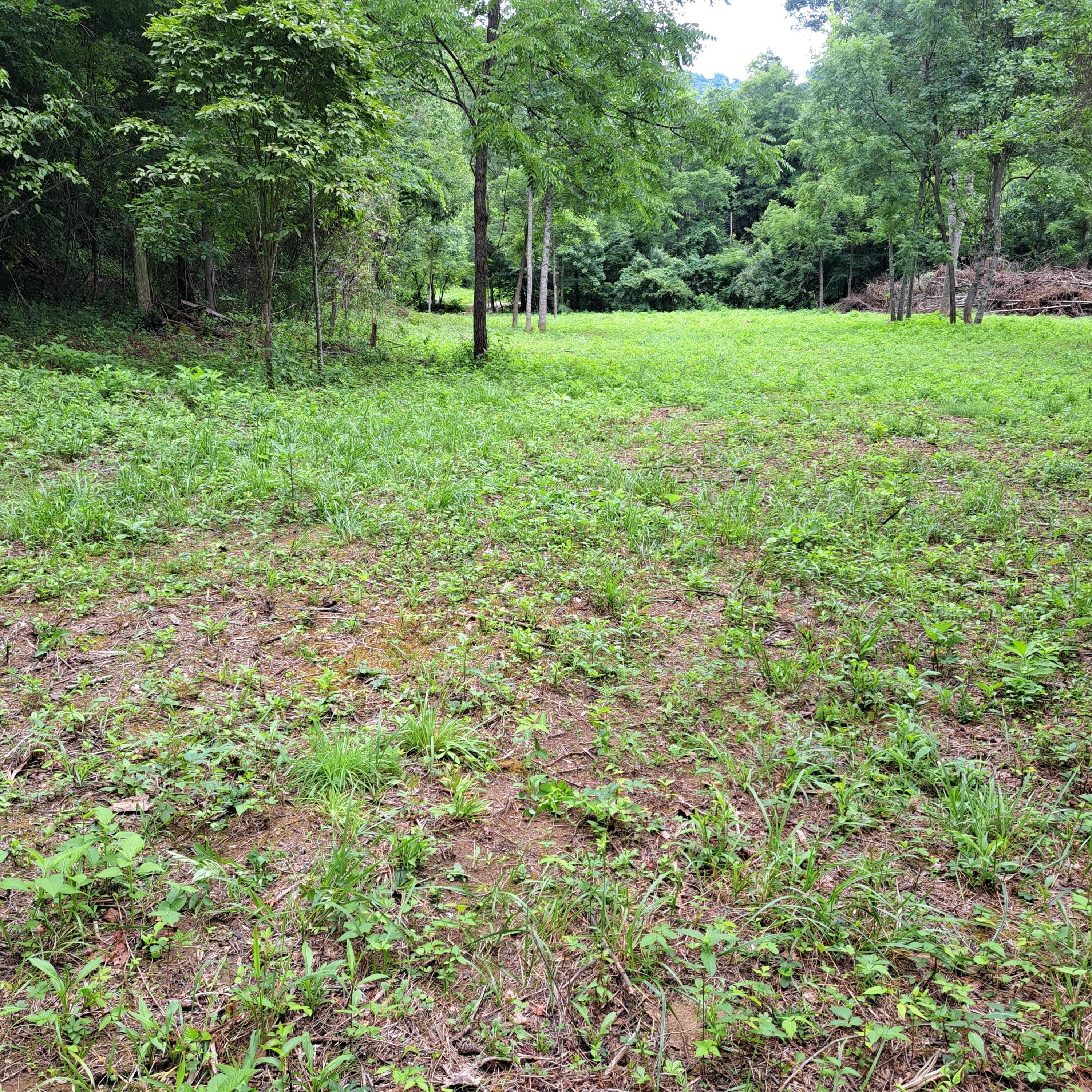 99 Jackson Road Property Photo 17